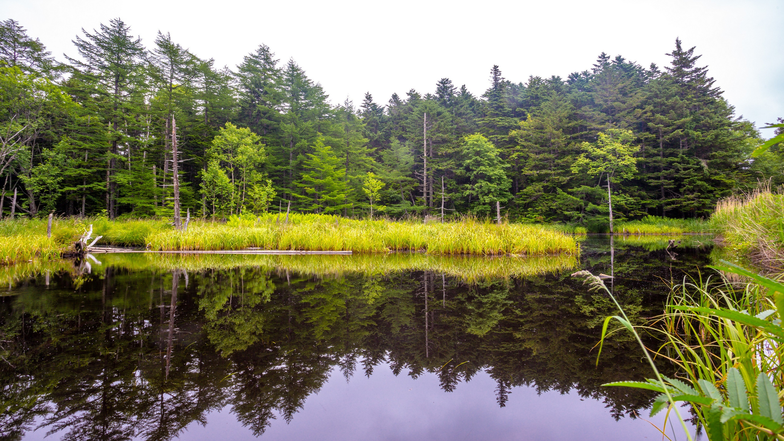 О.Сахалин. Фотограф. г. Южно-Сахалинск. Олег Толстов