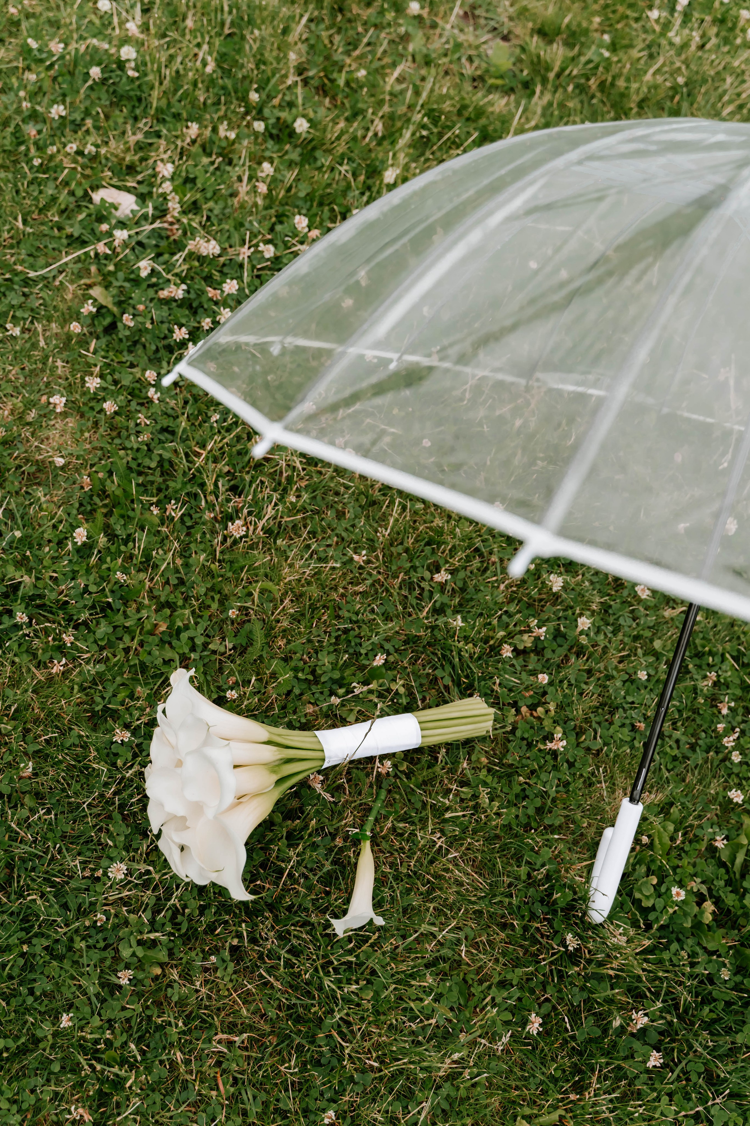 Владислав и София. Фотограф Елизавета Савина