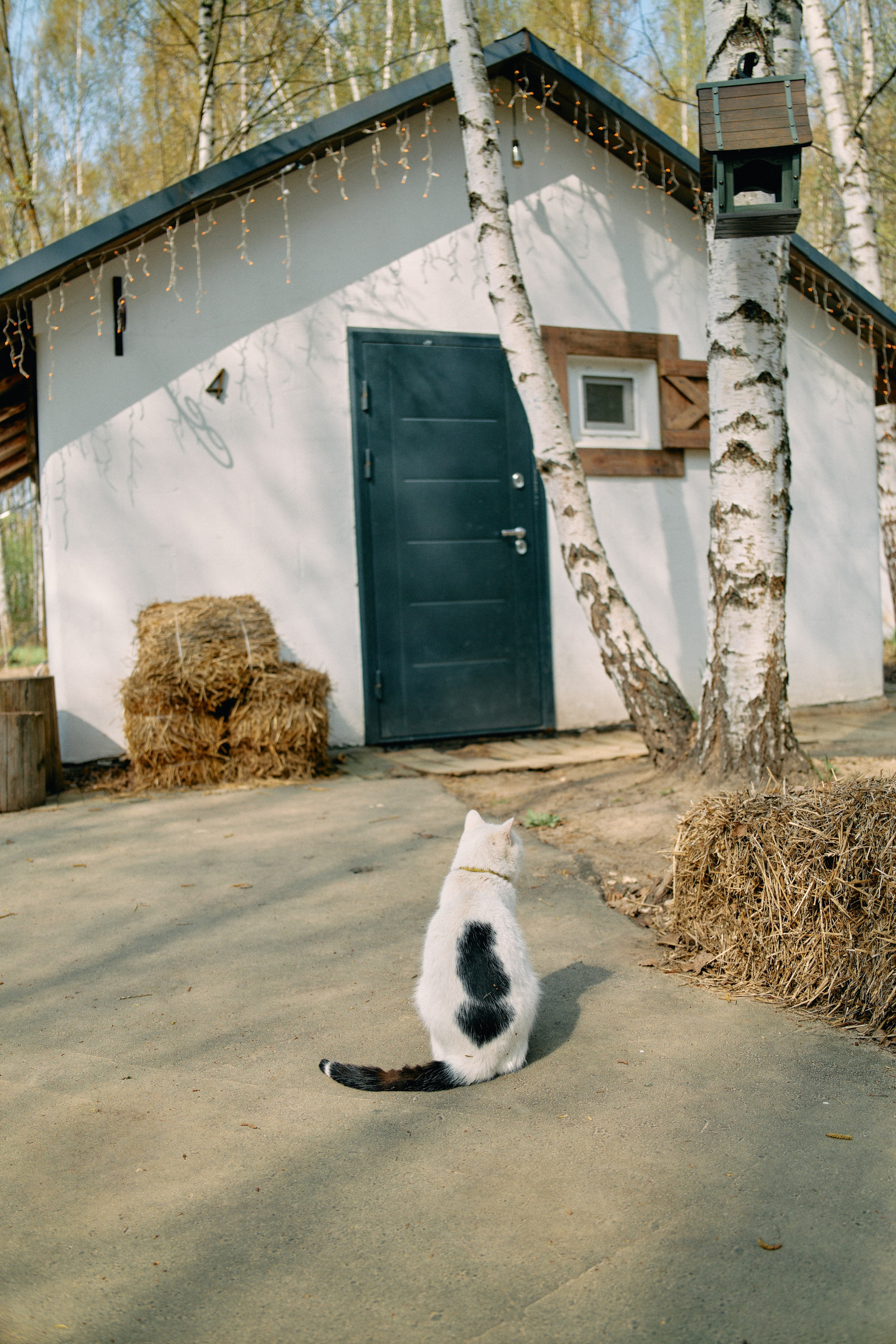 Бутик-отель Поле летом. Профессиональный Фотограф во Владимире, в Москве и в Суздале — Полина Романычева