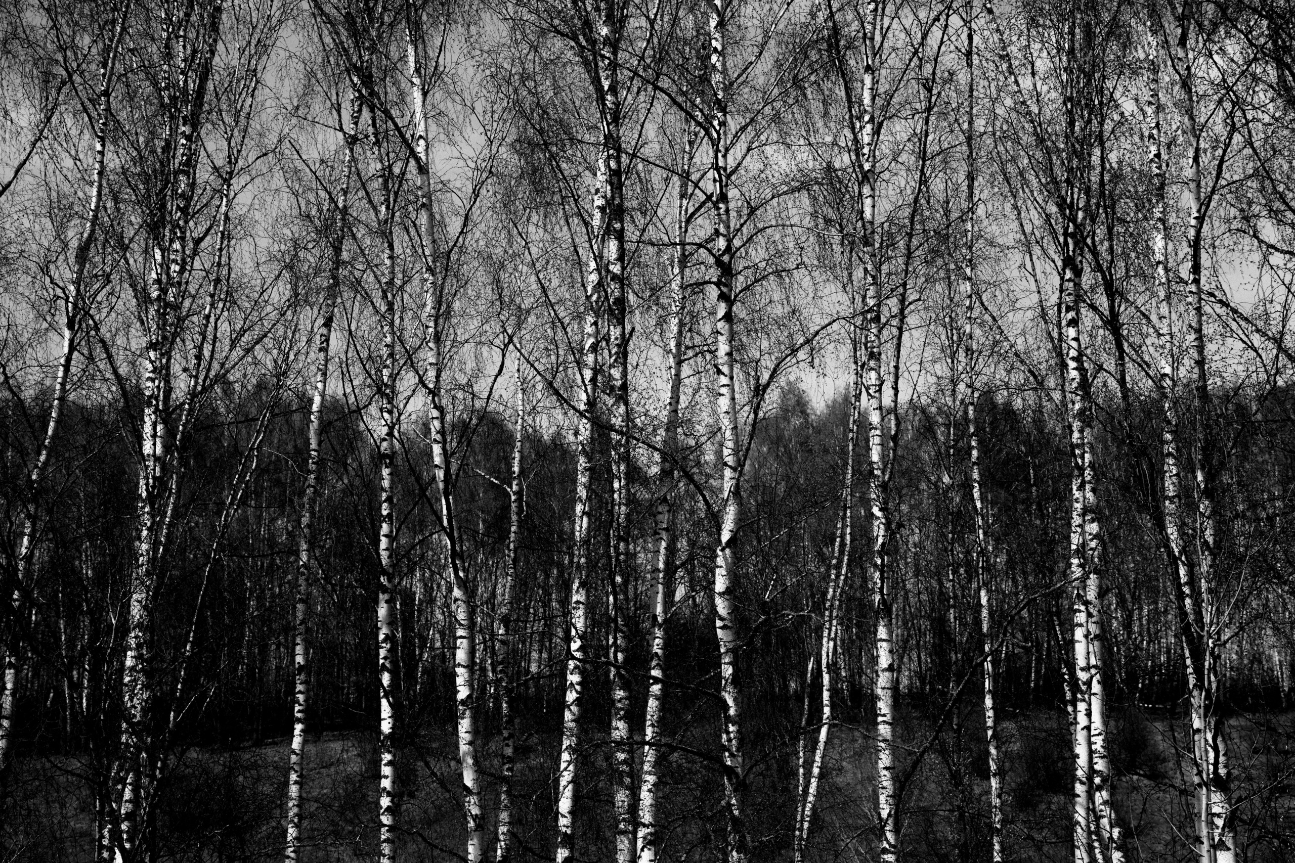 BAON x Кудыкина Гора. Фотограф Сурков Никита