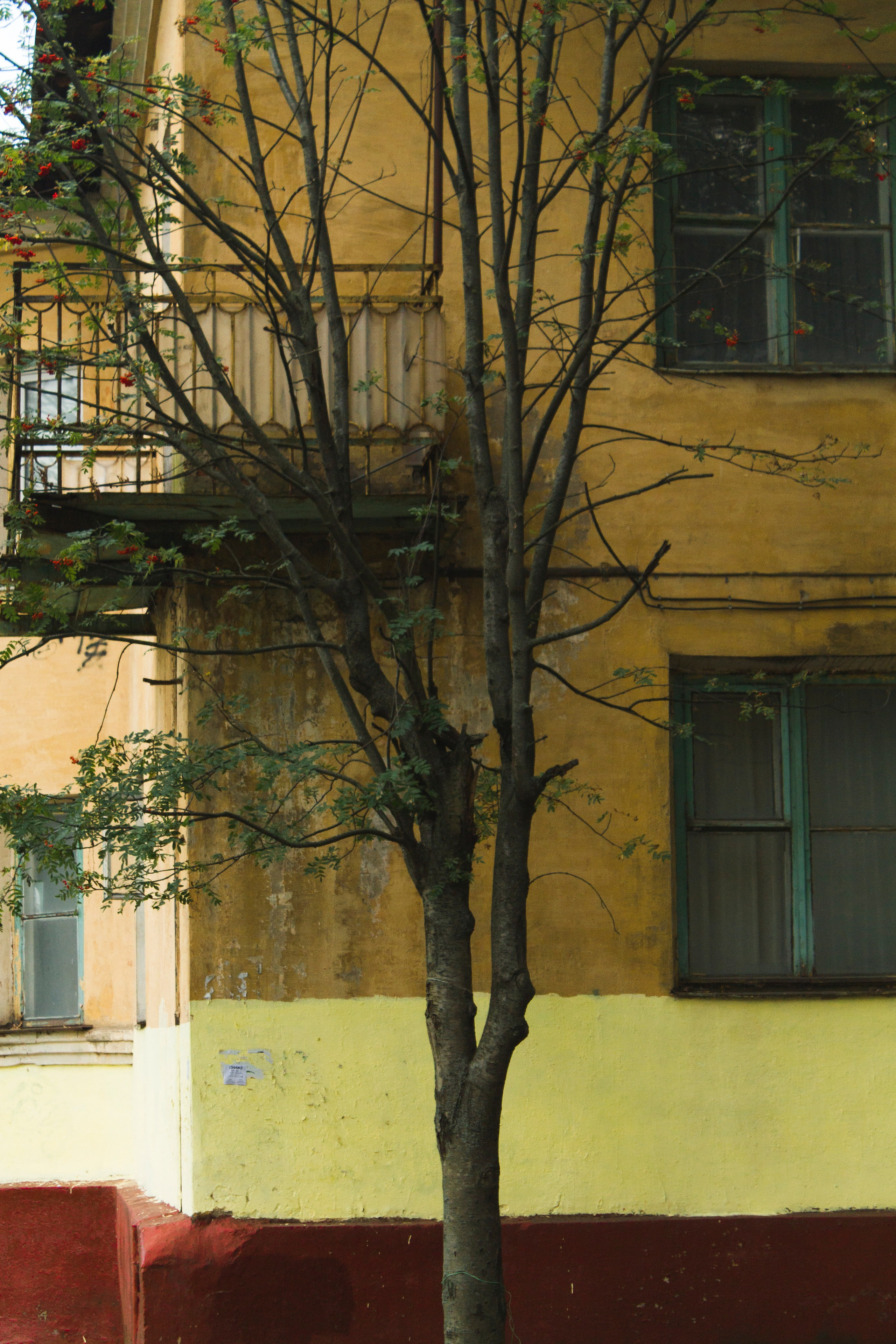 Мои первые работы. Фотограф из Москвы — DASHA NOVA | Авторская фотография в разных жанрах