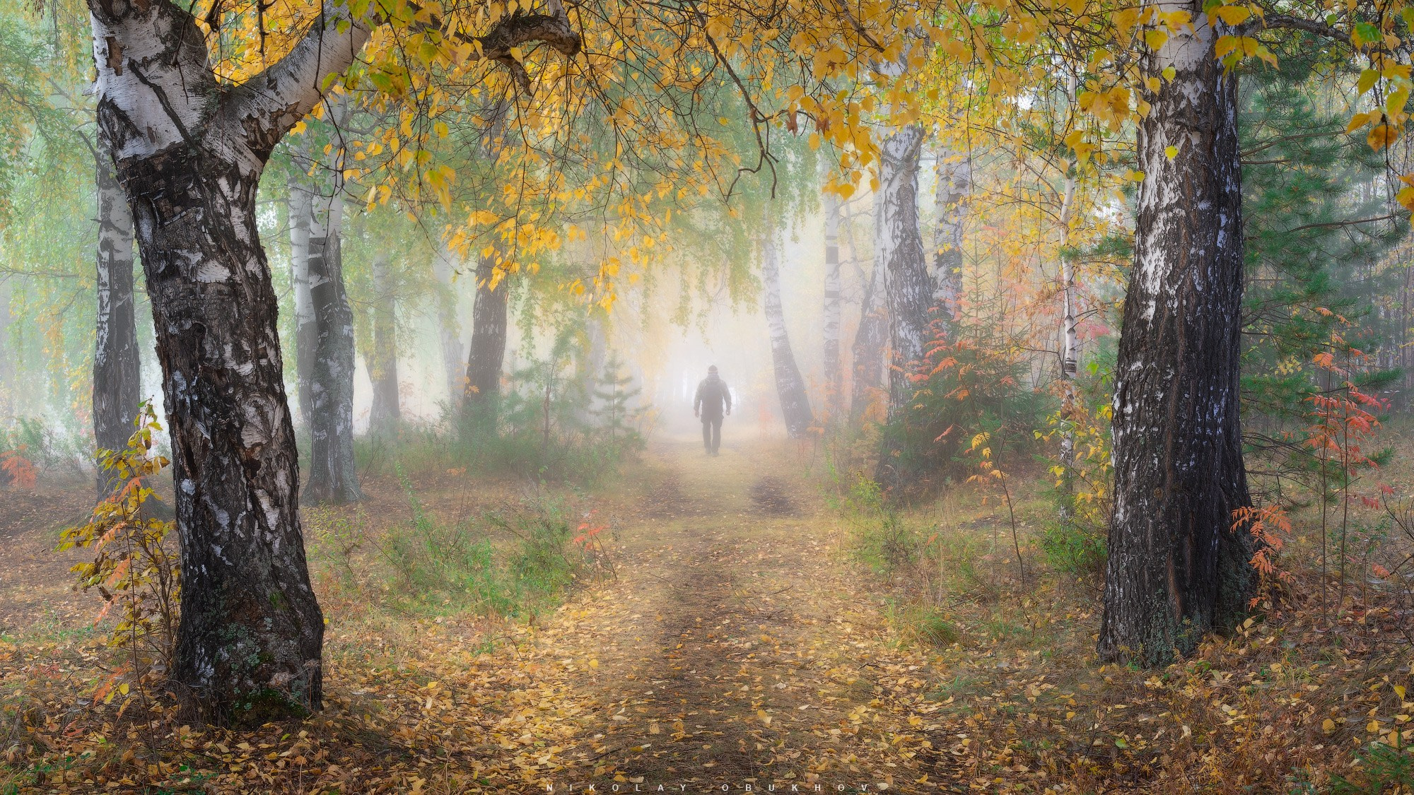 Пейзаж Черноисточинска в туманном утре — атмосферная фотография природы Среднего Урала.