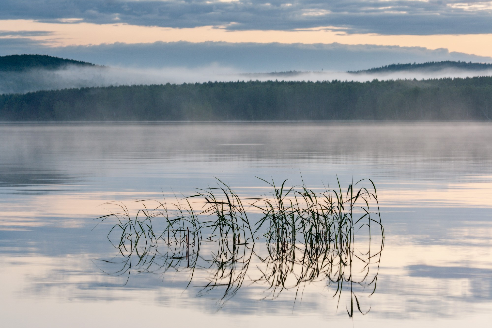 Летние пейзажи Черноисточинска | Фотограф Николай Обухов