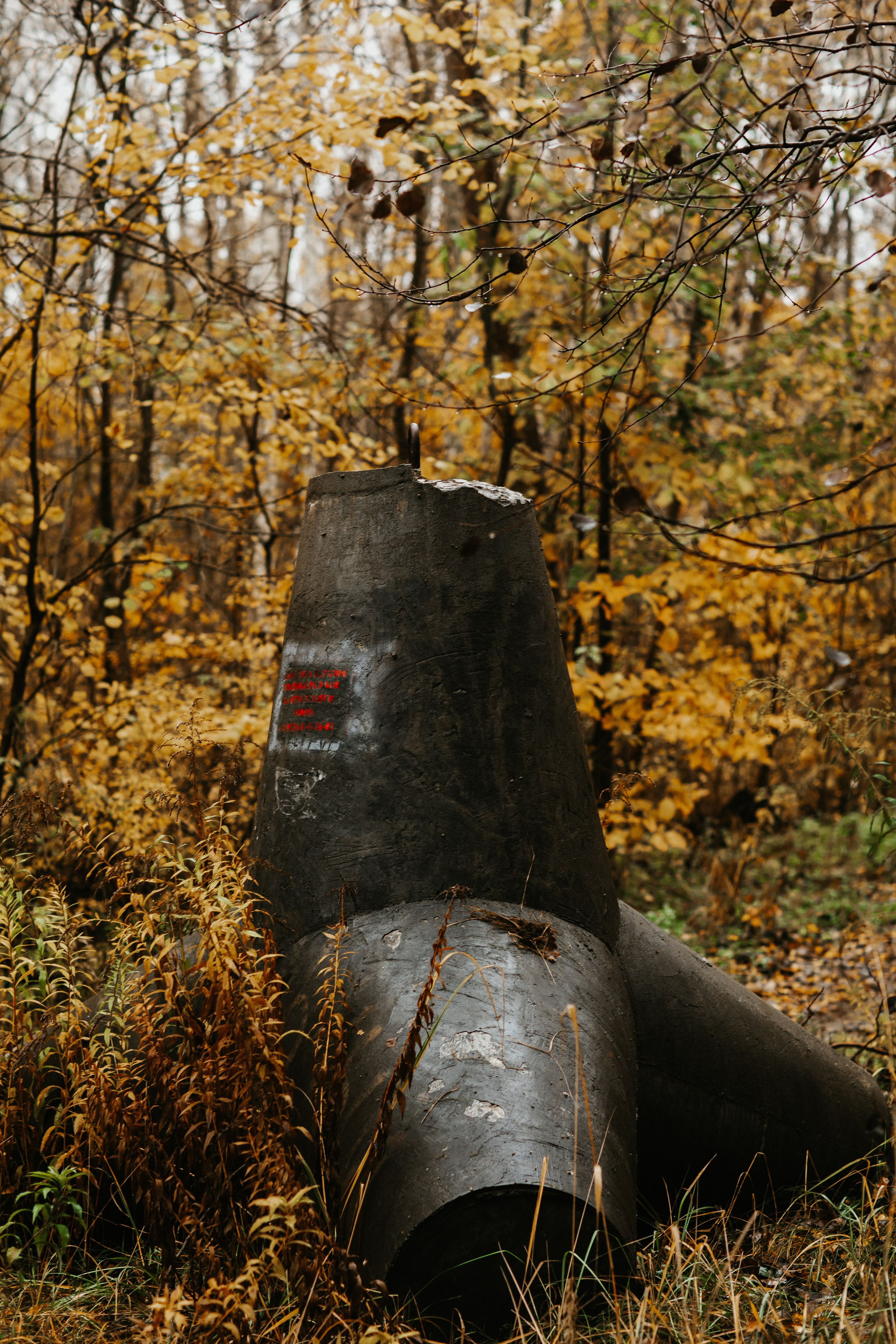 Балтийск/Калининград. Свадебный и семейный фотограф/видеограф в Краснодаре Наталья Осинская
