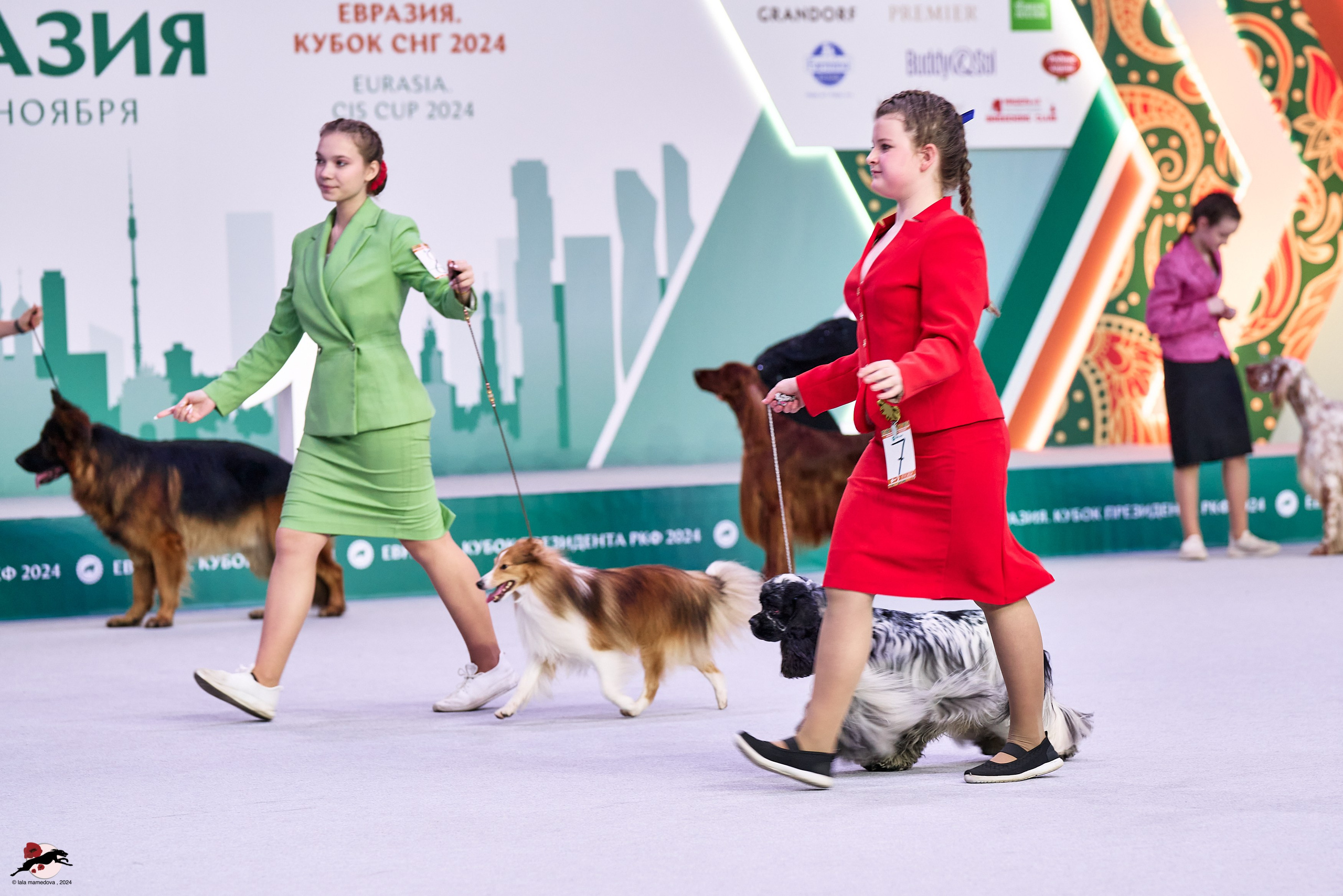 17.11.2024 «ЕВРАЗИЯ. КУБОК СНГ 2024»