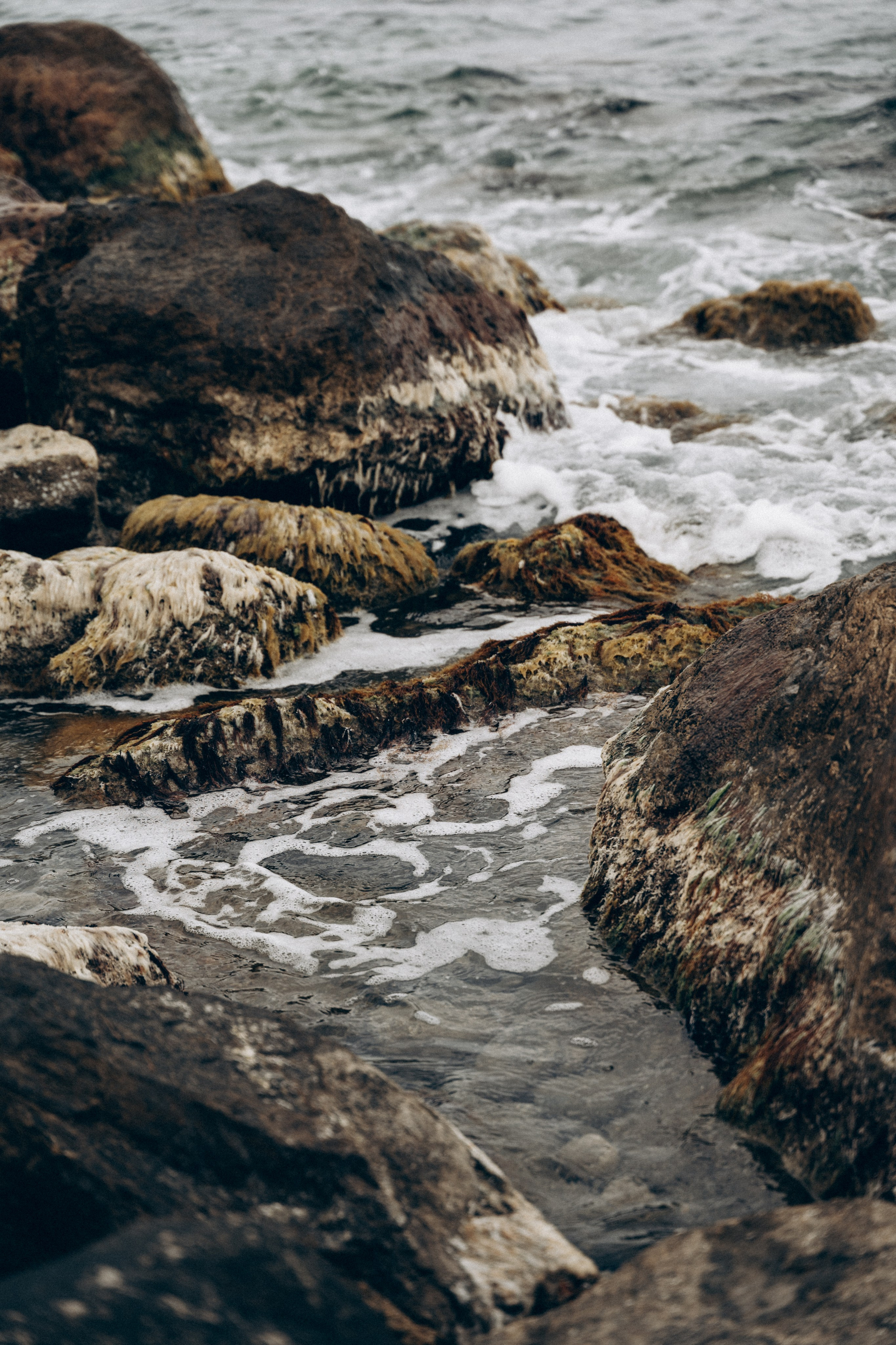 Вера. Мария Кобзева, фотограф в Ялте, Крым