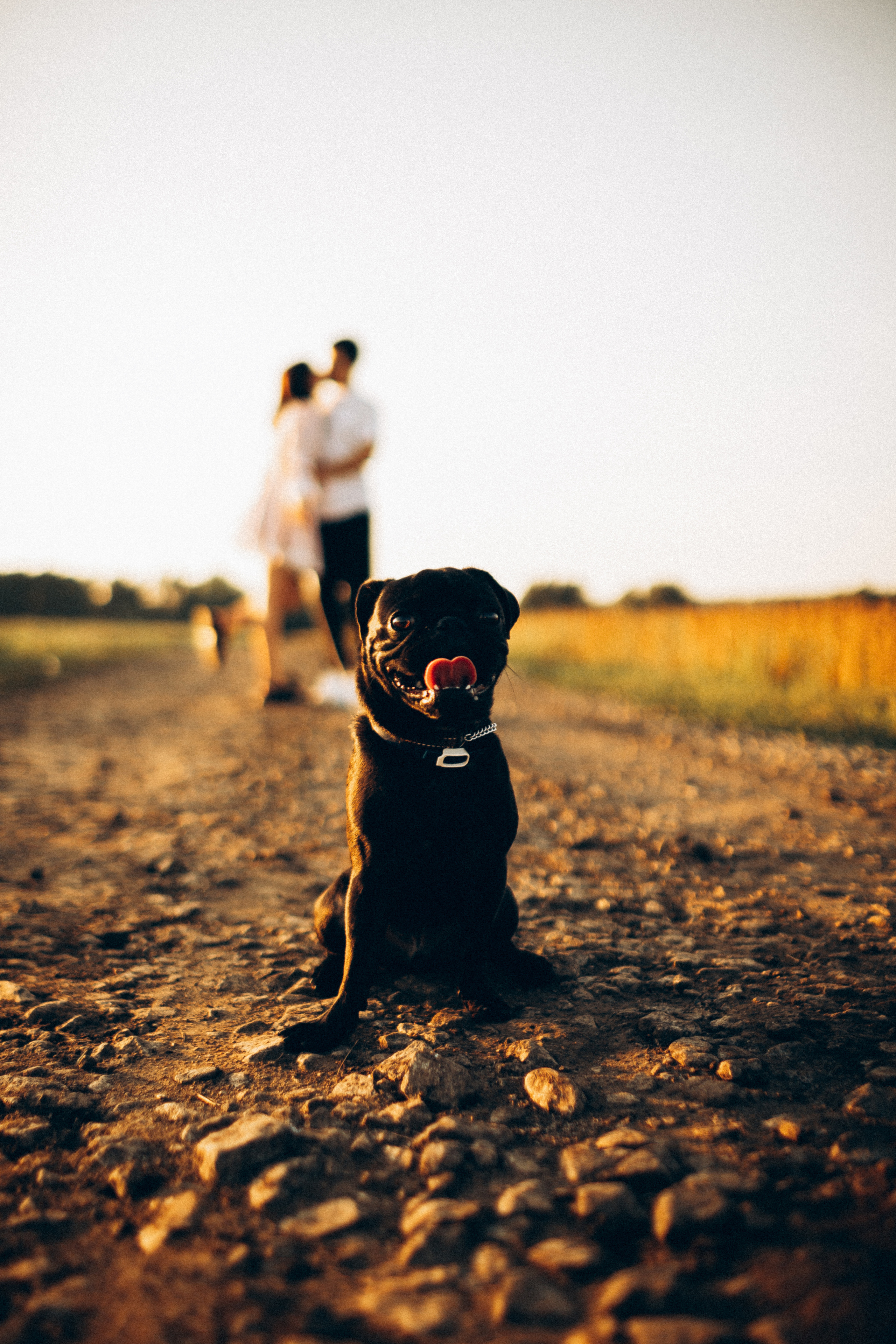 Гена+Влада + Бутч. Семейная съемка — это красивый способ признаться своей семье в любви