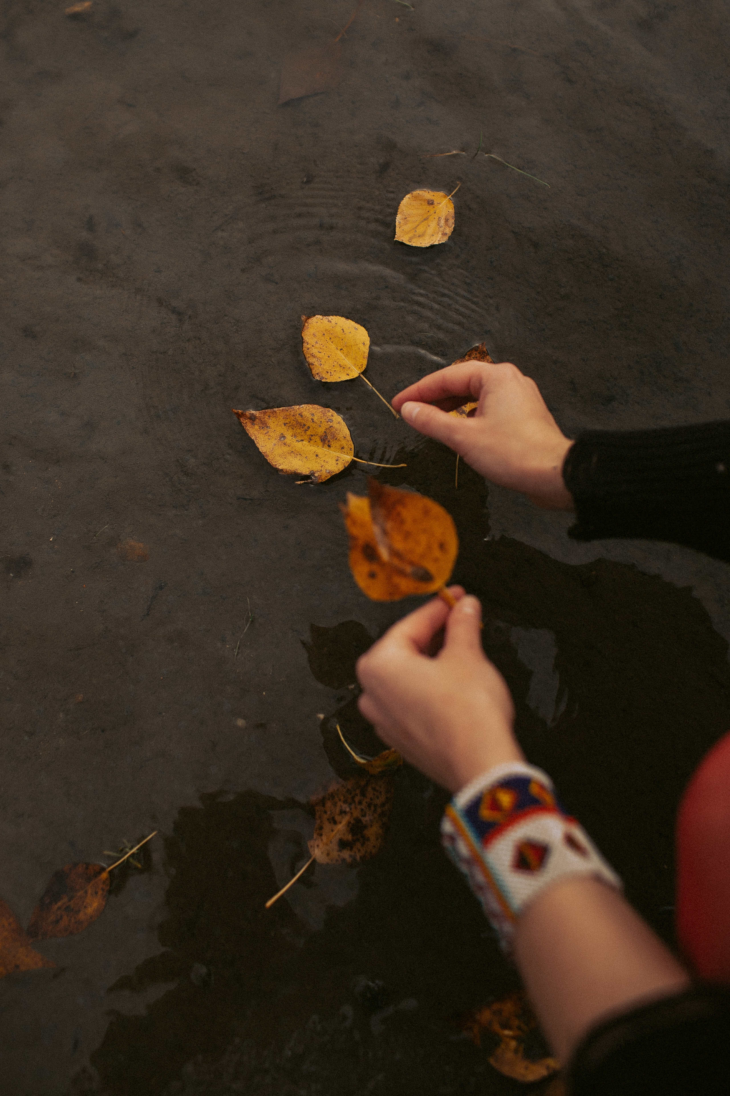 Валерия. Семейная съемка — это красивый способ признаться своей семье в любви