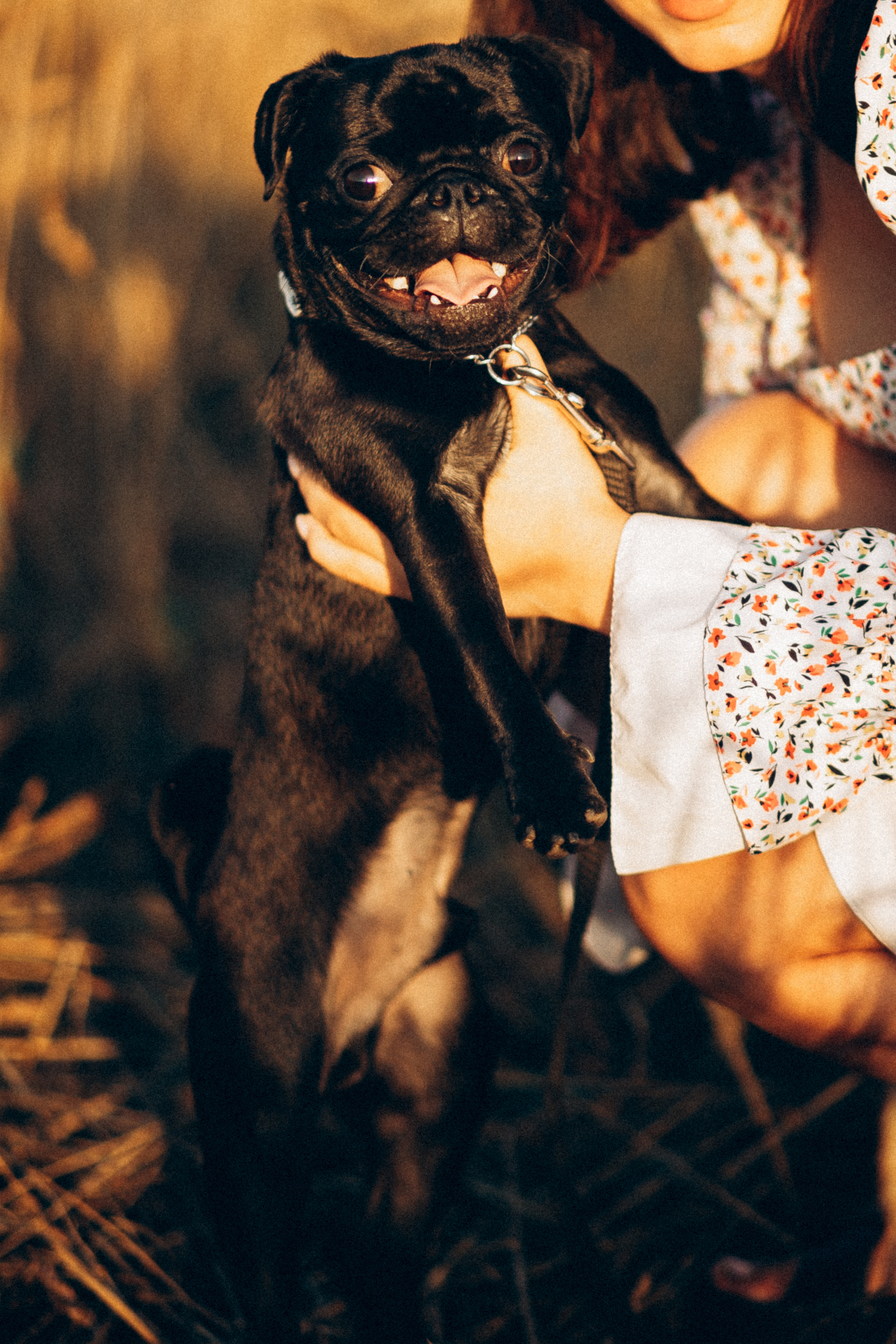 Гена+Влада + Бутч. Семейная съемка — это красивый способ признаться своей семье в любви