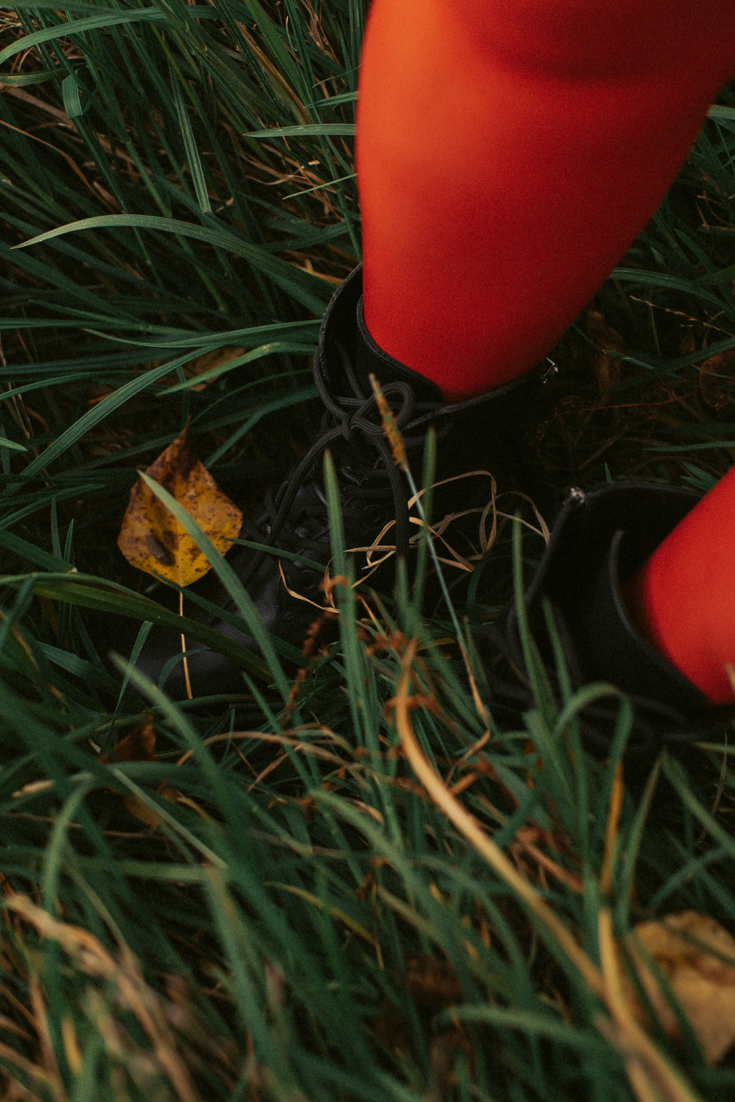 Валерия. Семейная съемка — это красивый способ признаться своей семье в любви