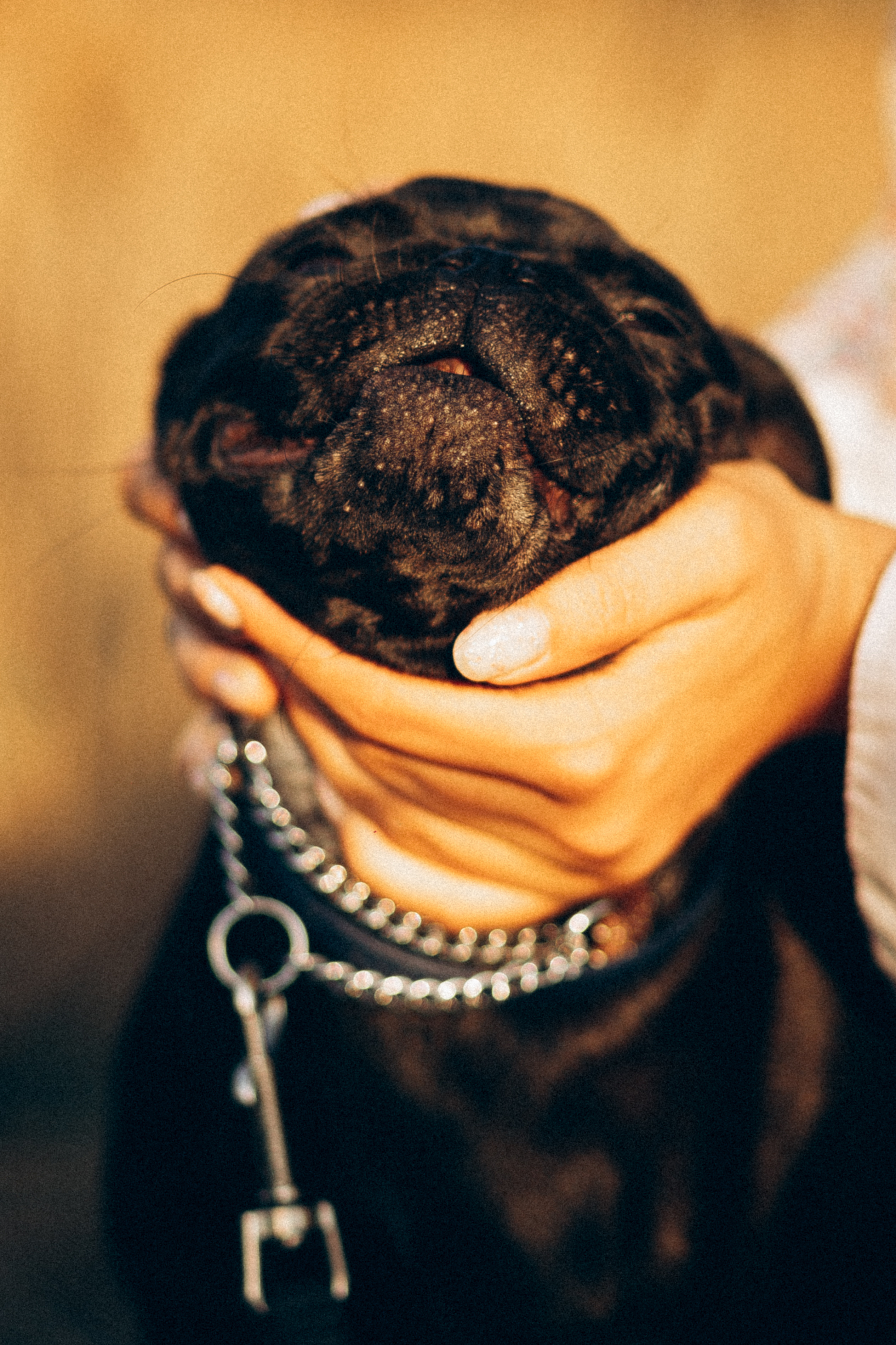 Гена+Влада + Бутч. Семейная съемка — это красивый способ признаться своей семье в любви