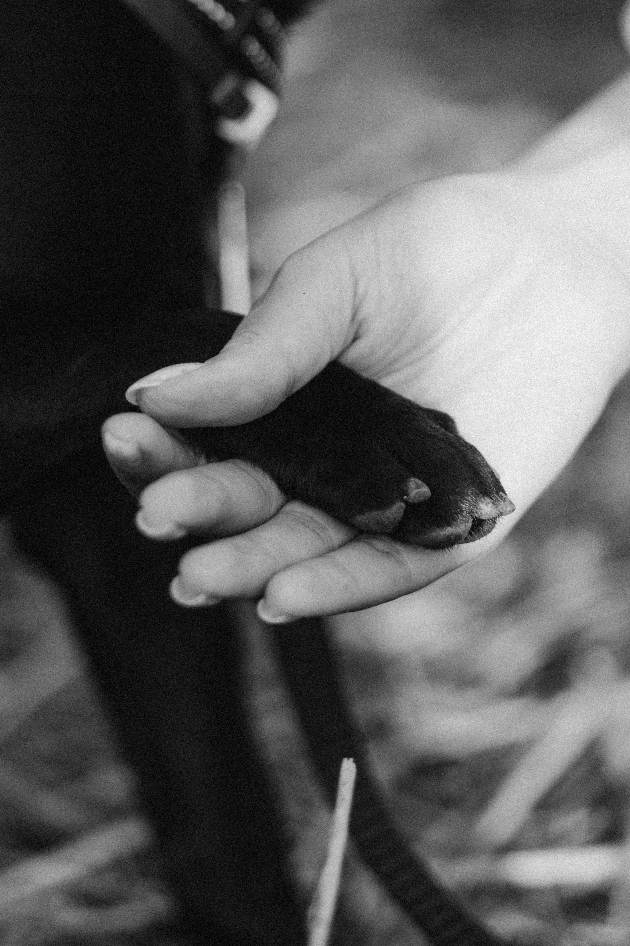 Гена+Влада + Бутч. Семейная съемка — это красивый способ признаться своей семье в любви