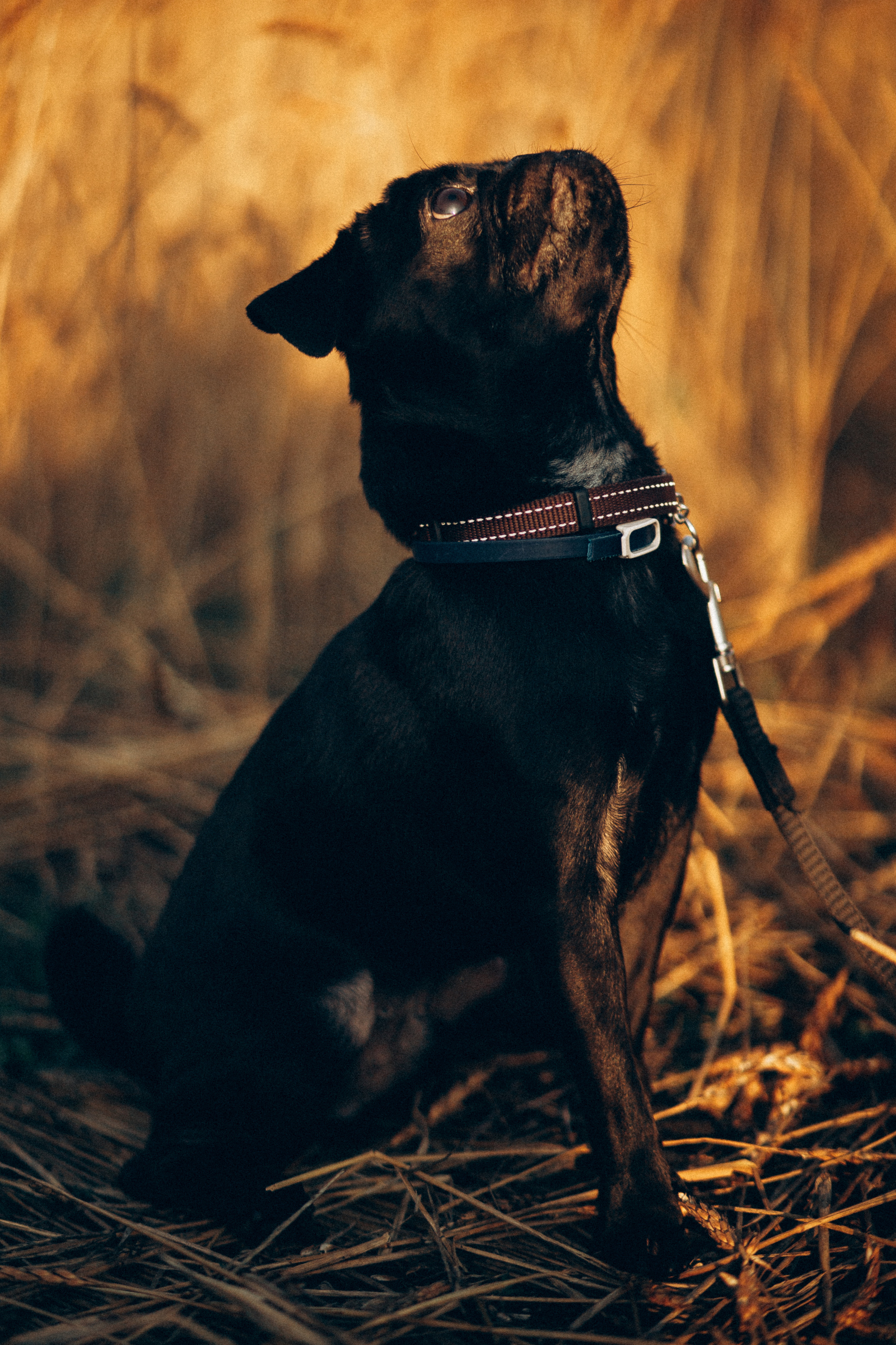 Гена+Влада + Бутч. Семейная съемка — это красивый способ признаться своей семье в любви