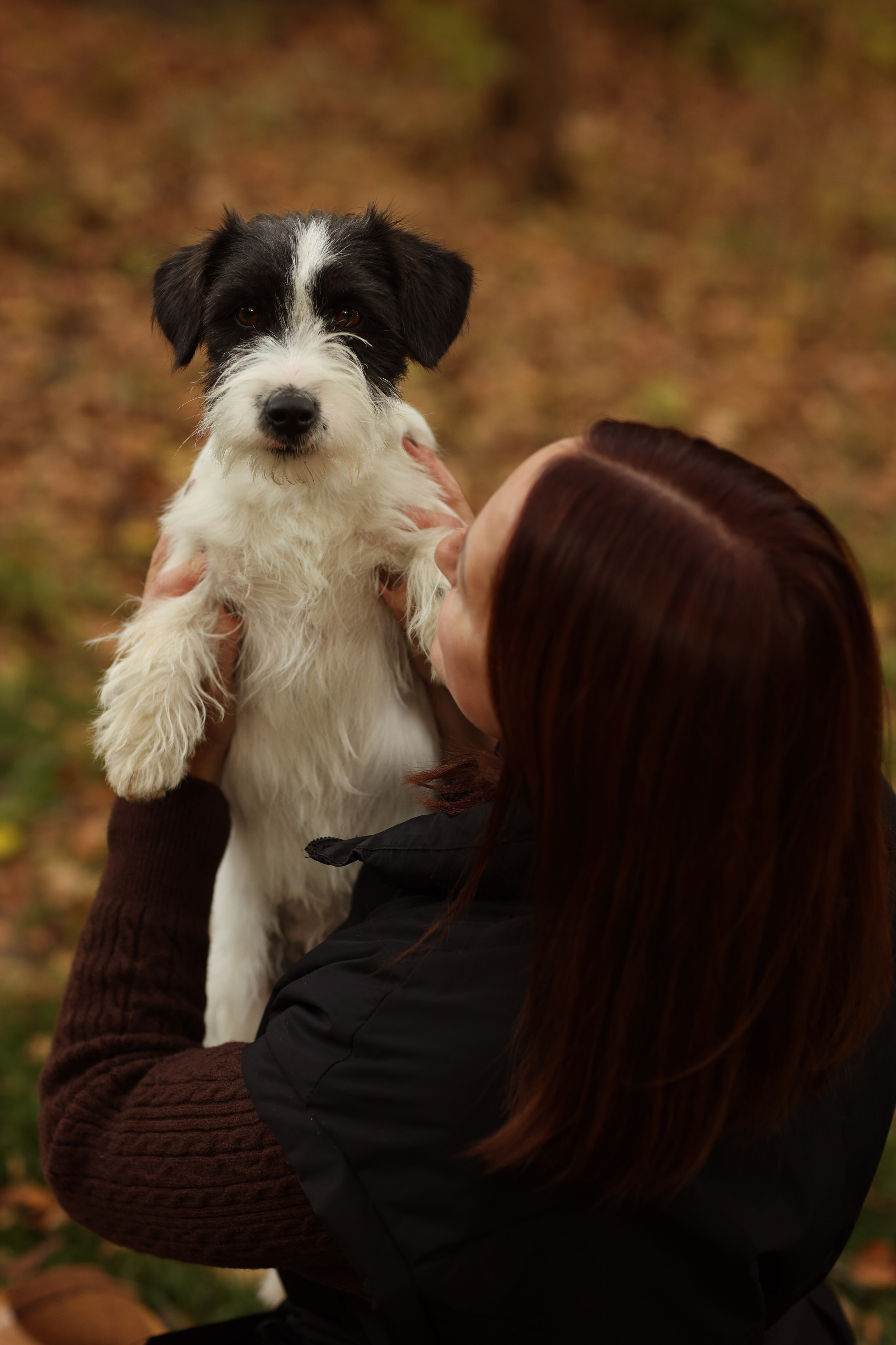 Аня, Броша и Марс. Фотограф — Анималист Наталья Тямушева