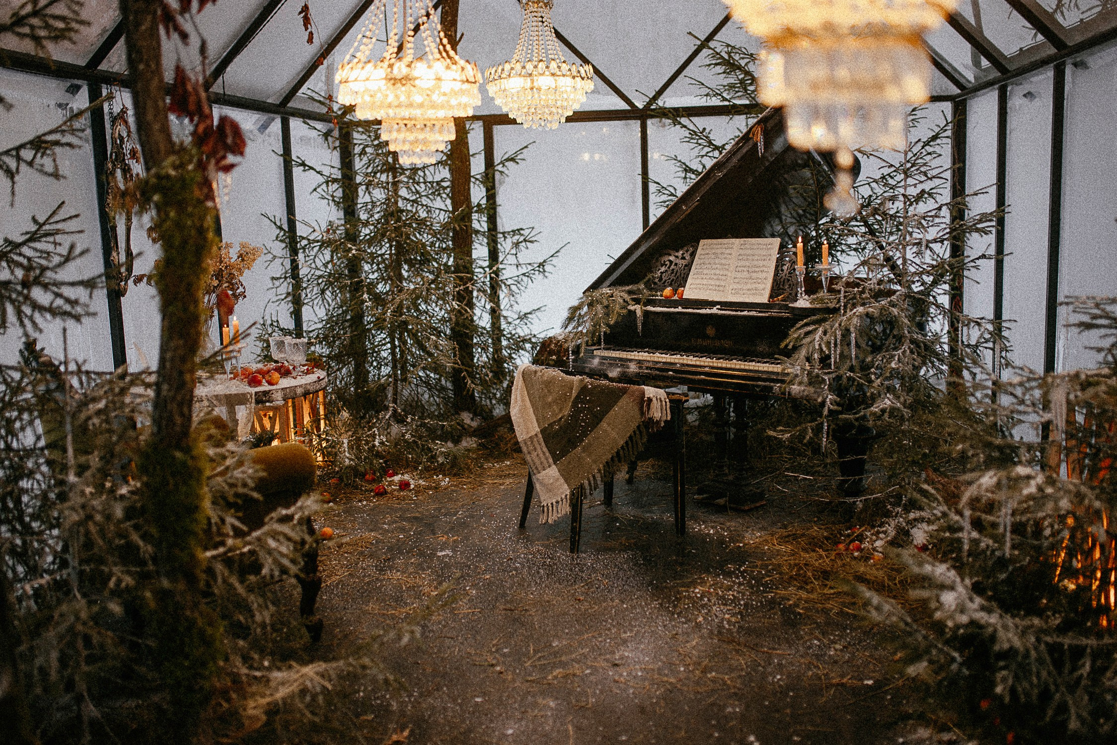 Теплица. Фотостудия «Зачарованный Сад» в 20 минутах от центра Екатеринбурга