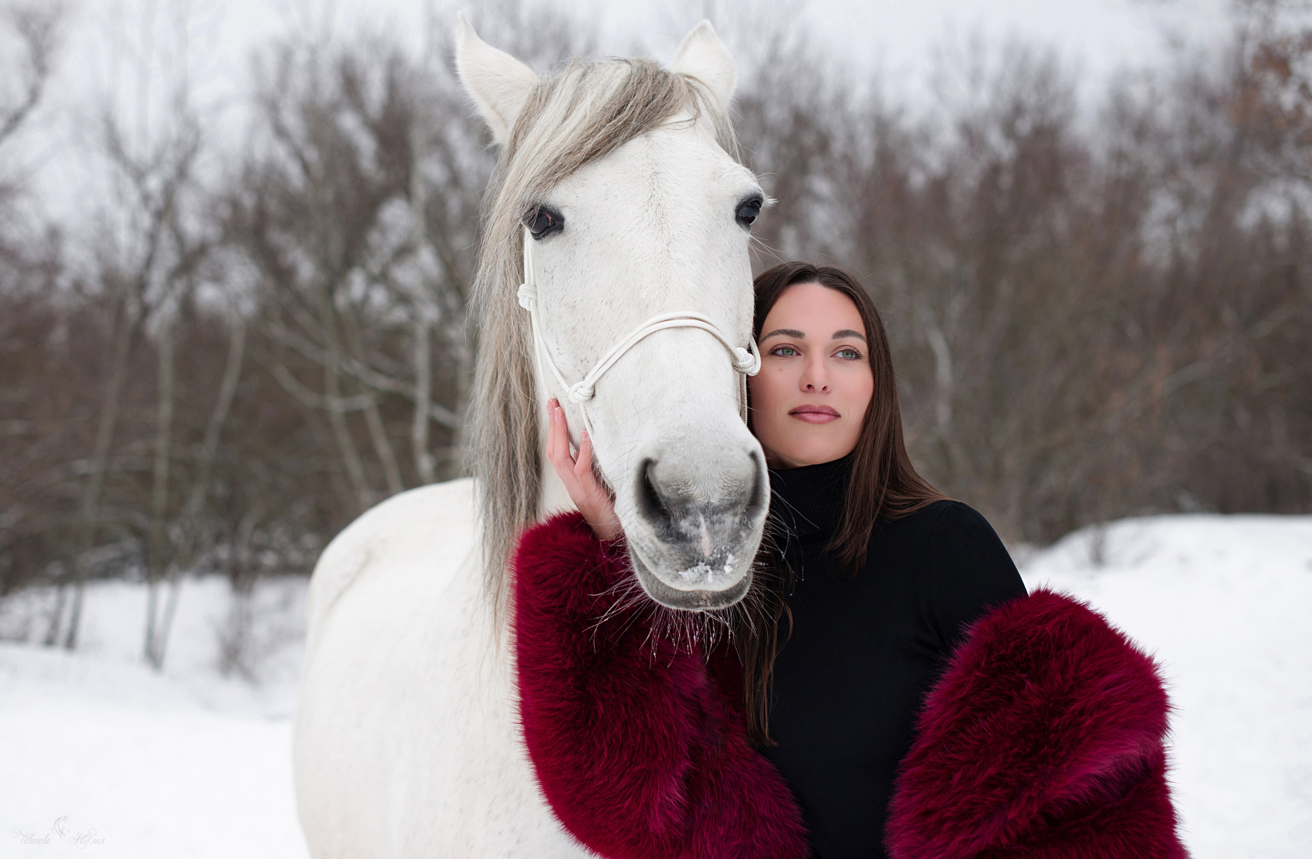 Кристина и Стрелка. Конный фотограф в Саратове Юлия Иванова