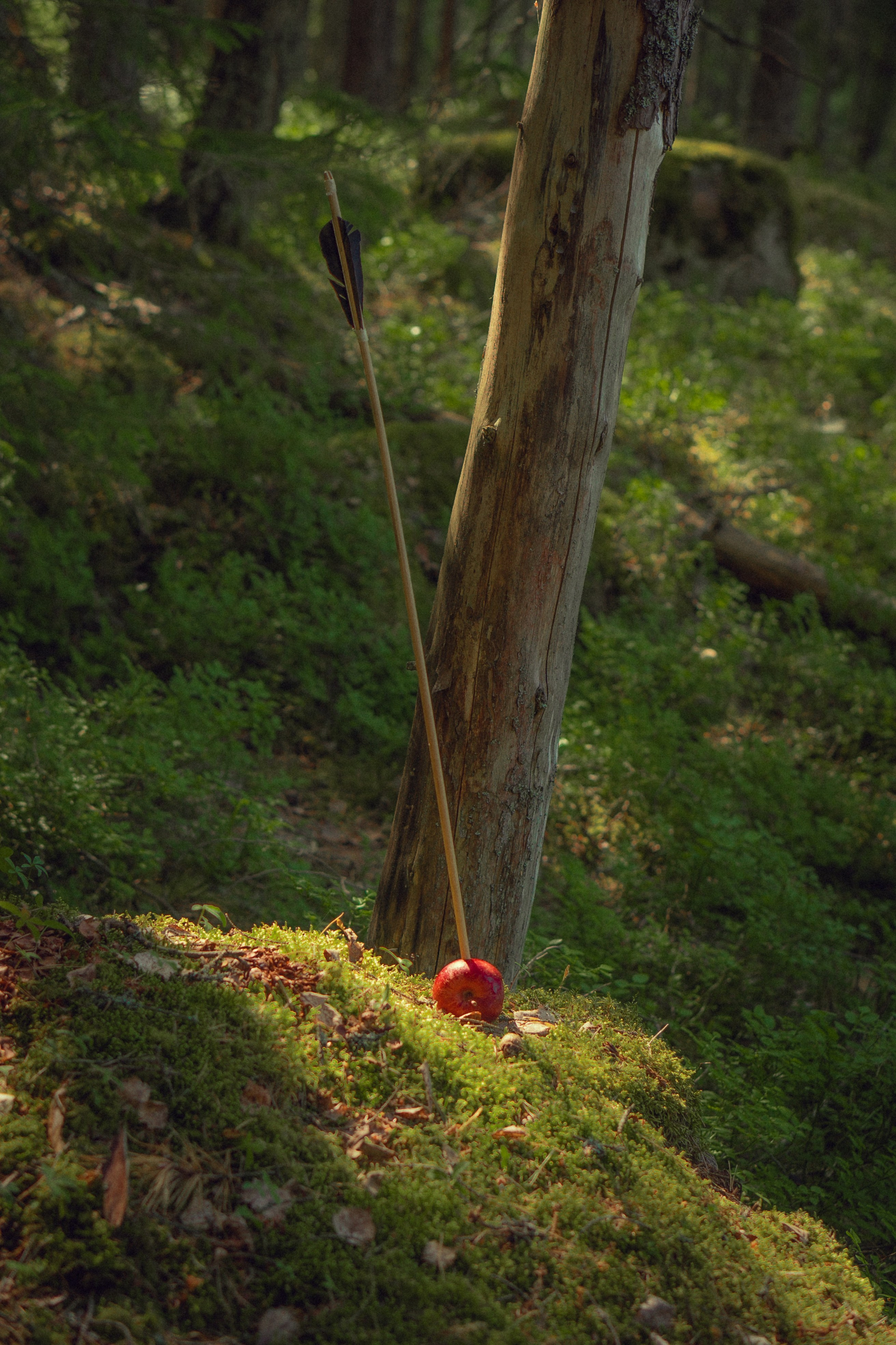 Храбрая Сердцем. Художественный фотограф Салаева Алина
