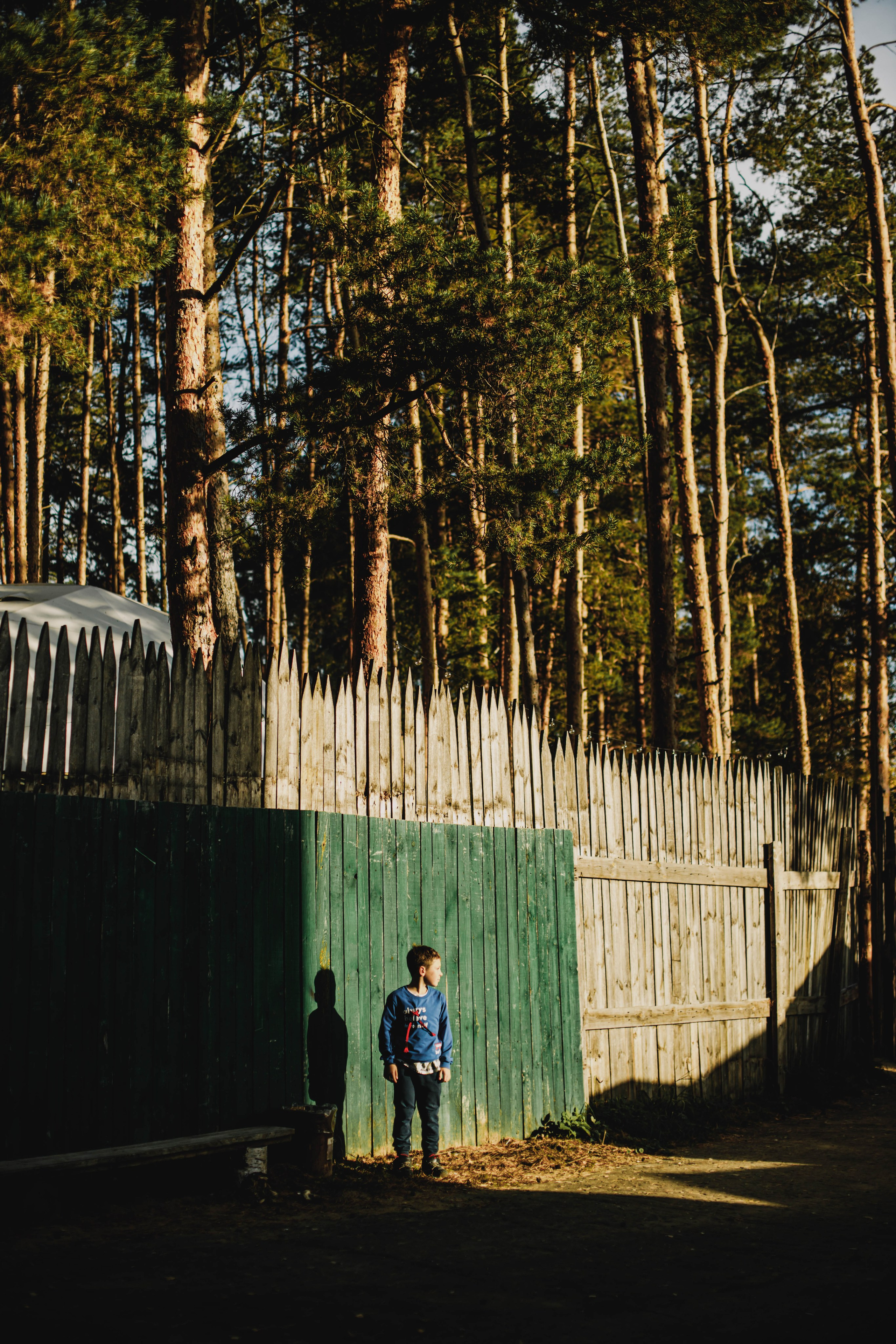 Юбилей в соснах. Фотограф в Нижнем Новгороде