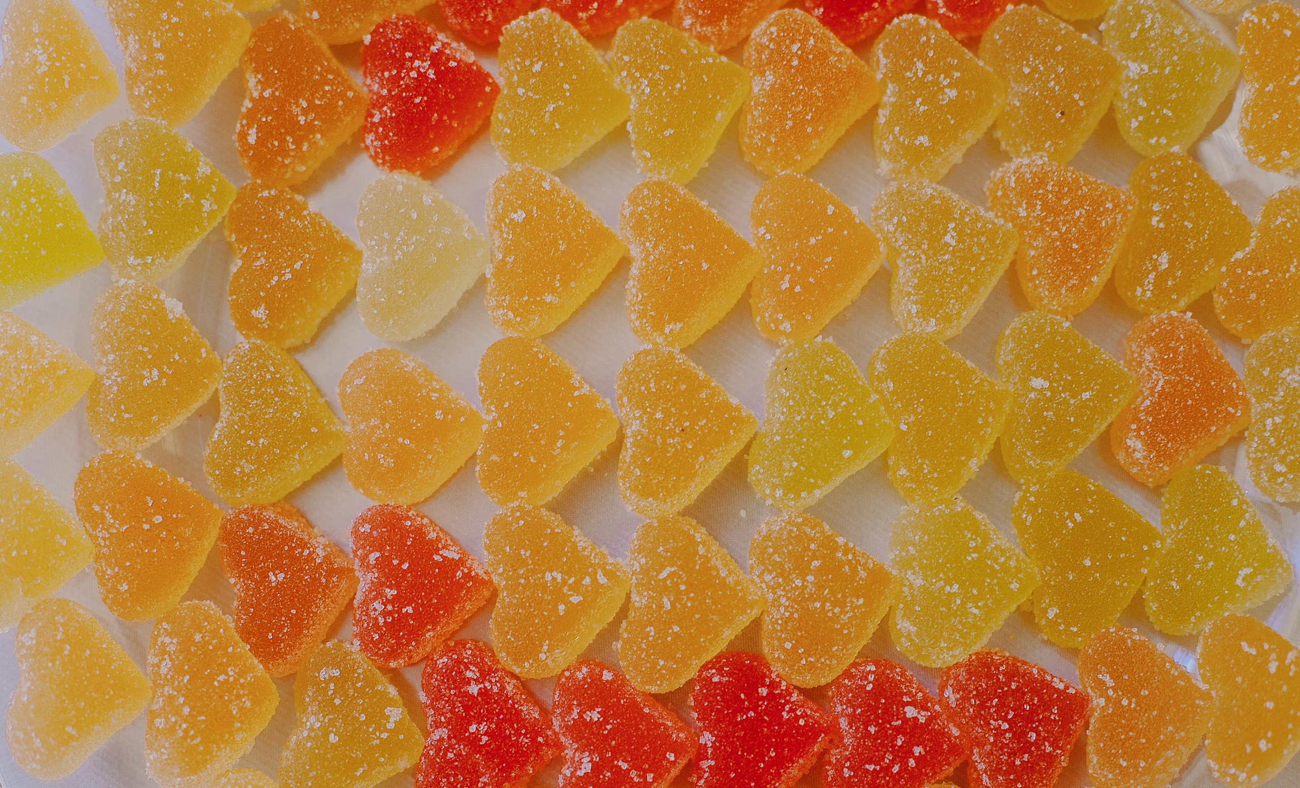 Андрей и Олеся. Свадебный фотограф в Краснодаре Михаил Бобрышов