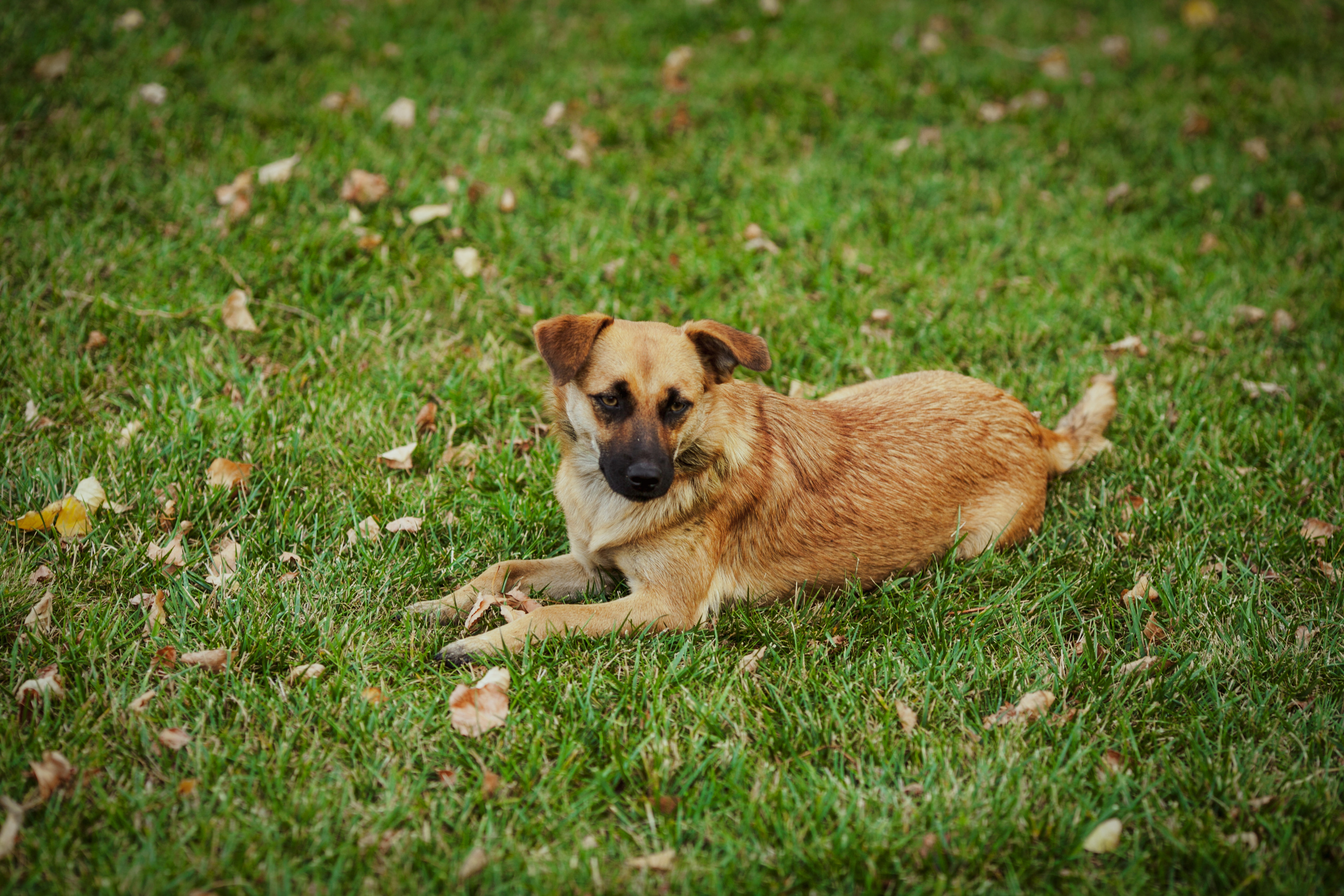 Андрей и Олеся. Свадебный фотограф в Краснодаре Михаил Бобрышов