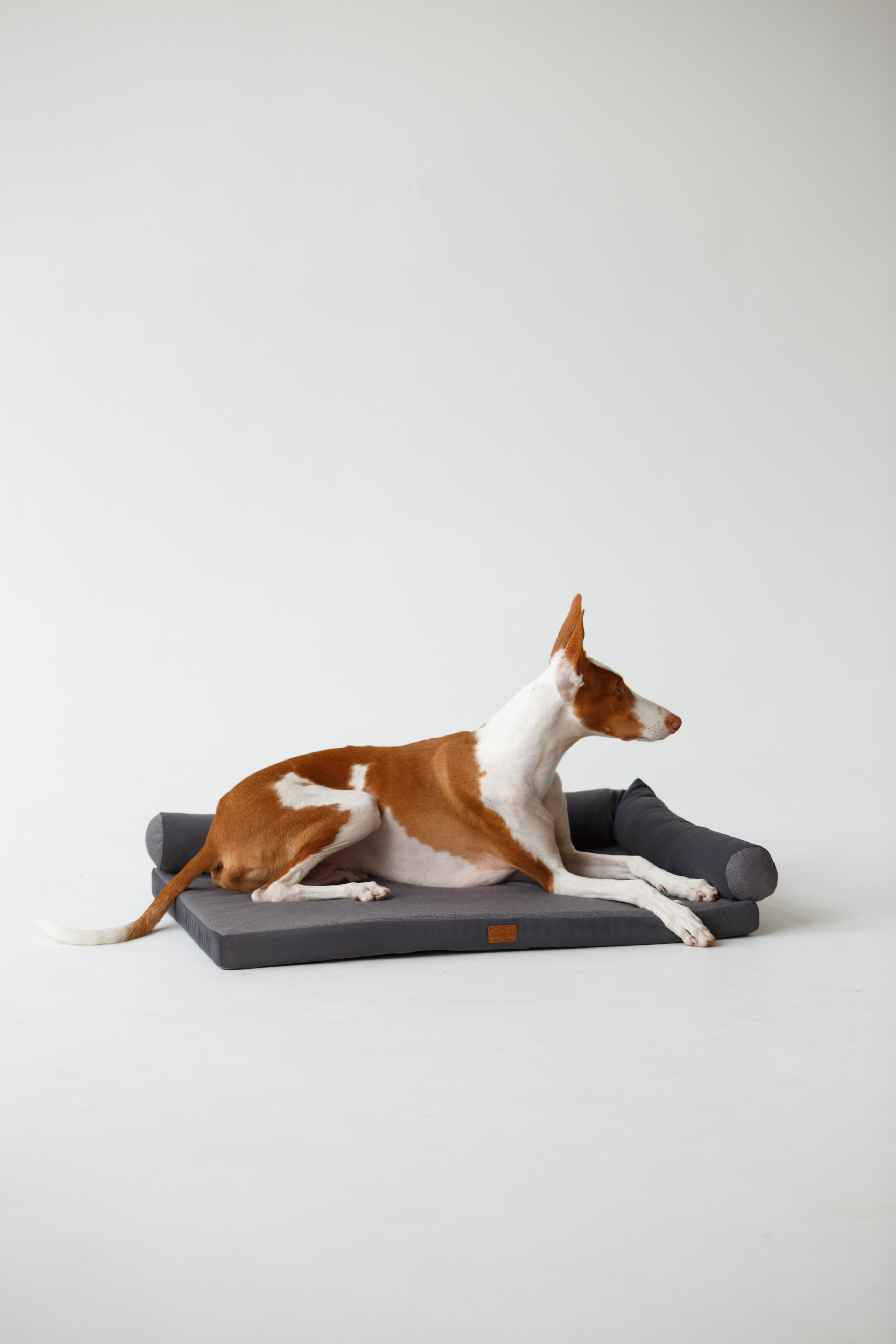 Boonwood Pets лежанки для животных. Фотограф анималист Кристина Карпова, Москва