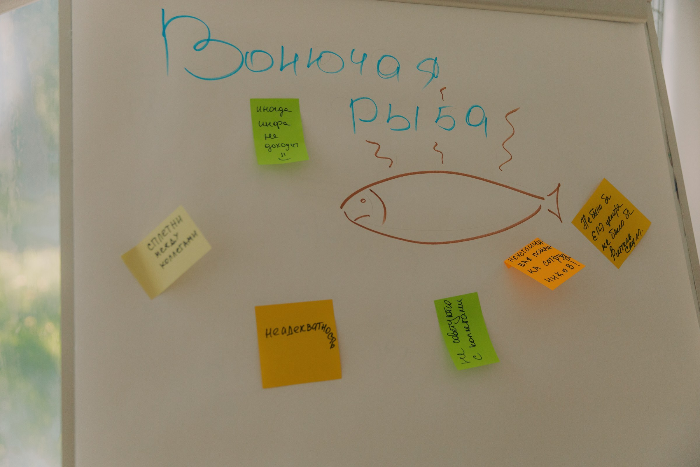 «ПЕРВЫЙ ЛЕТНИЙ» BBQ фестиваль для педагогов. Event агентство PAPRIKA в Екатеринбурге