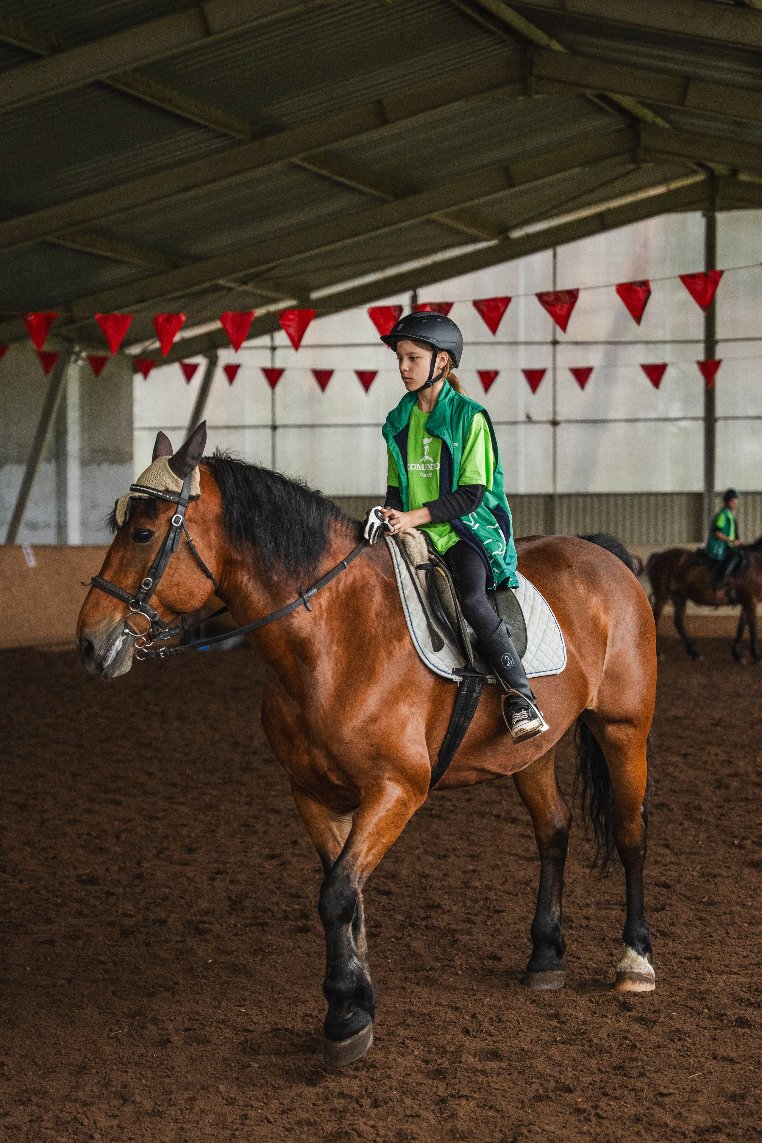 Конное занятие. Главная