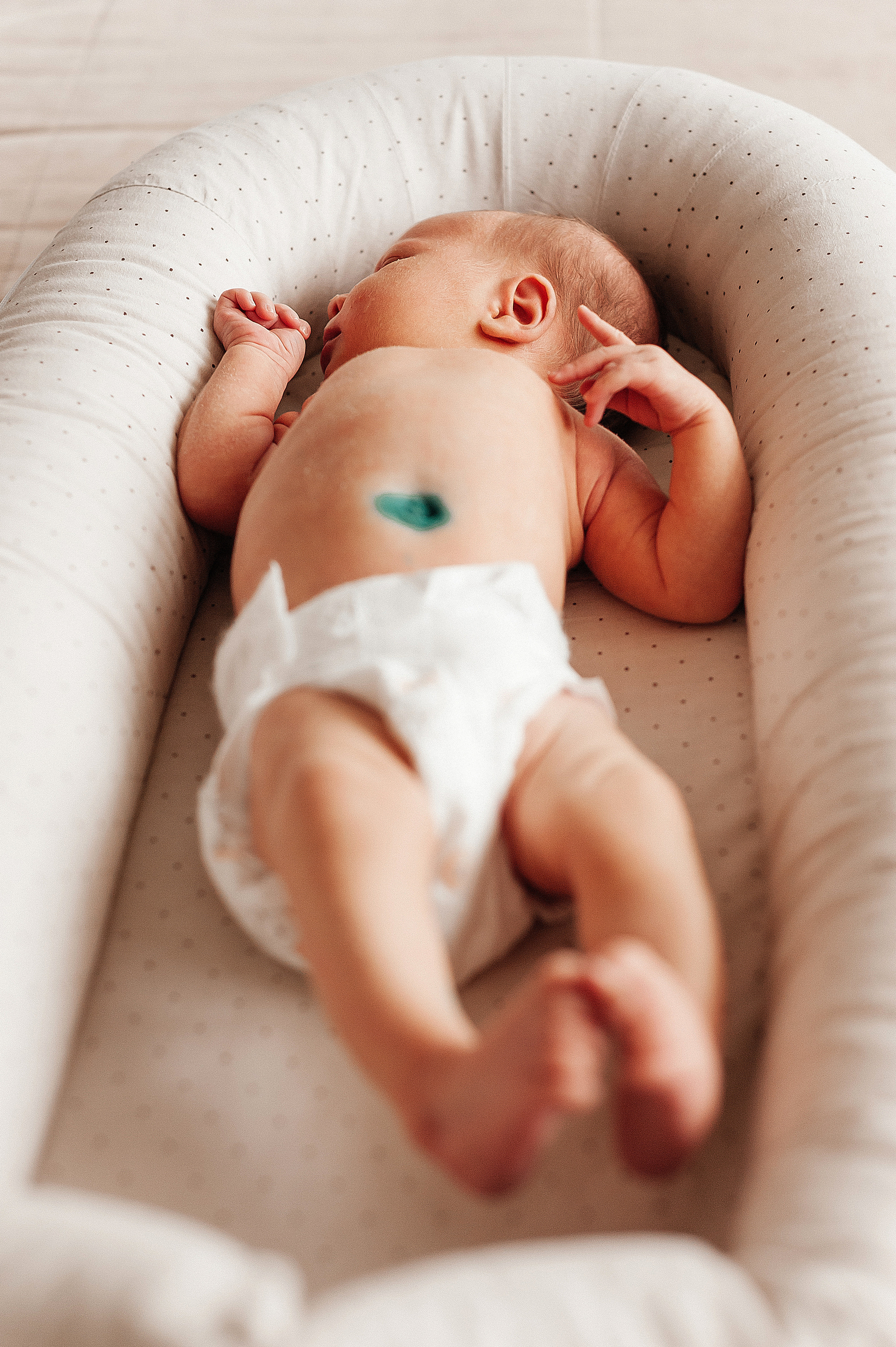 Домашняя история. Свадебный и семейный фотограф в Ростове-на-Дону Алина Астахова