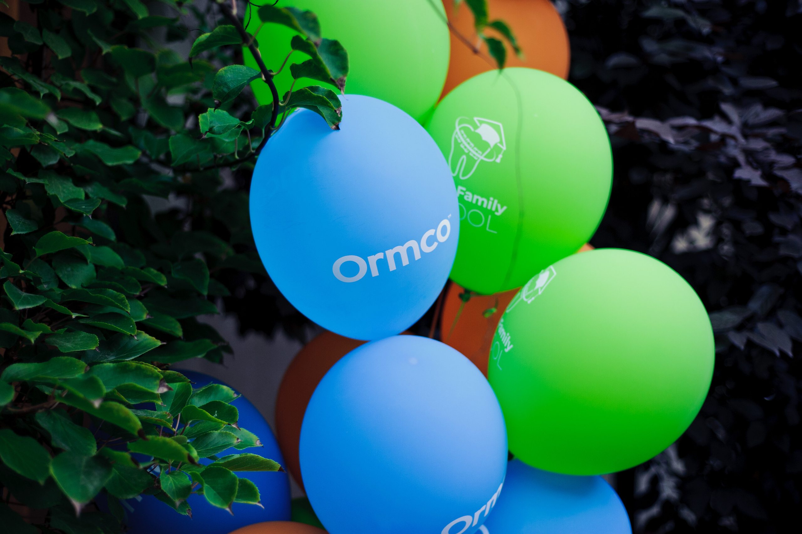 Выпускной стоматологов. Свадебный и семейный фотограф в Ростове-на-Дону Алина Астахова