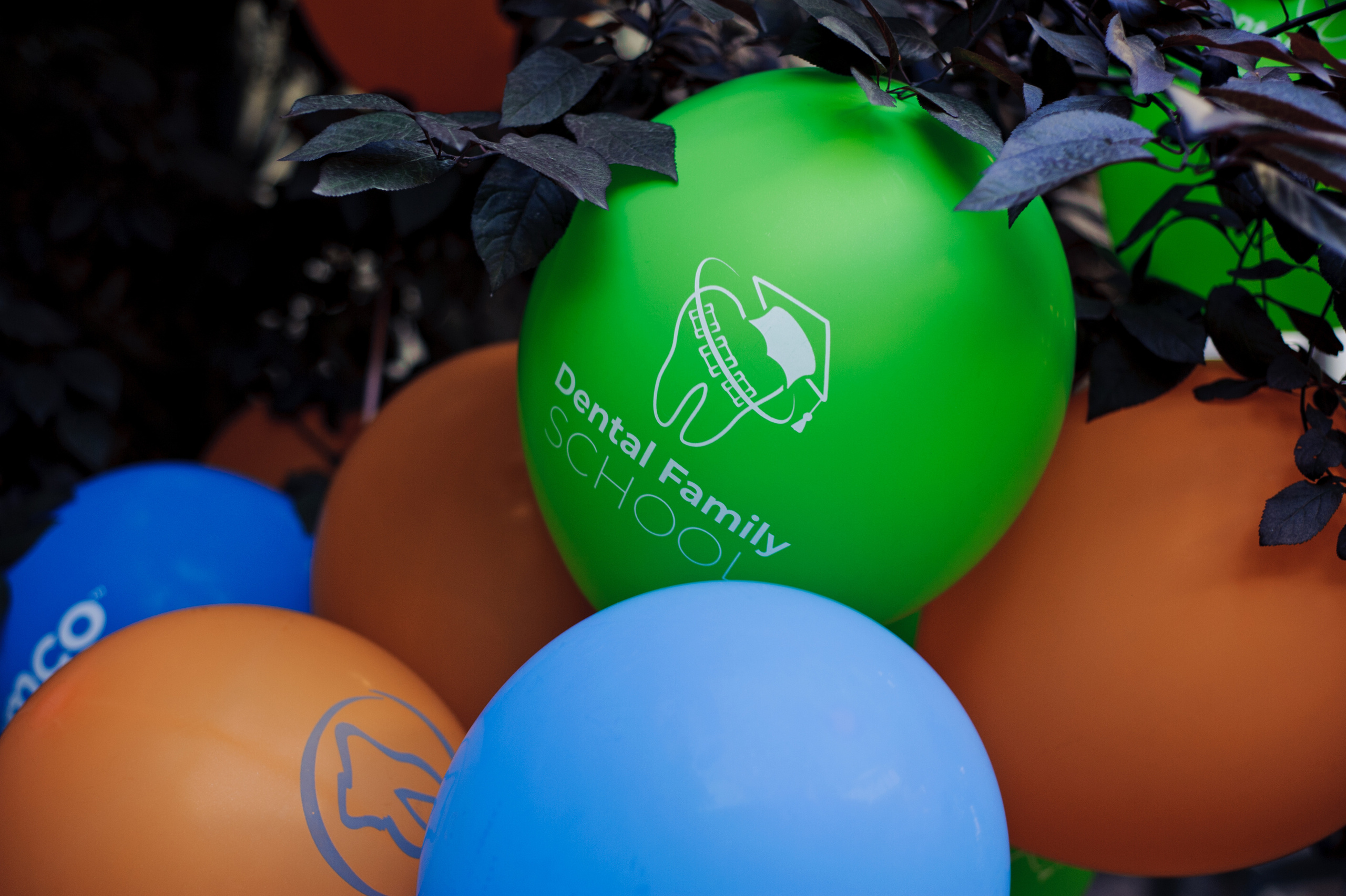 Выпускной стоматологов. Свадебный и семейный фотограф в Ростове-на-Дону Алина Астахова