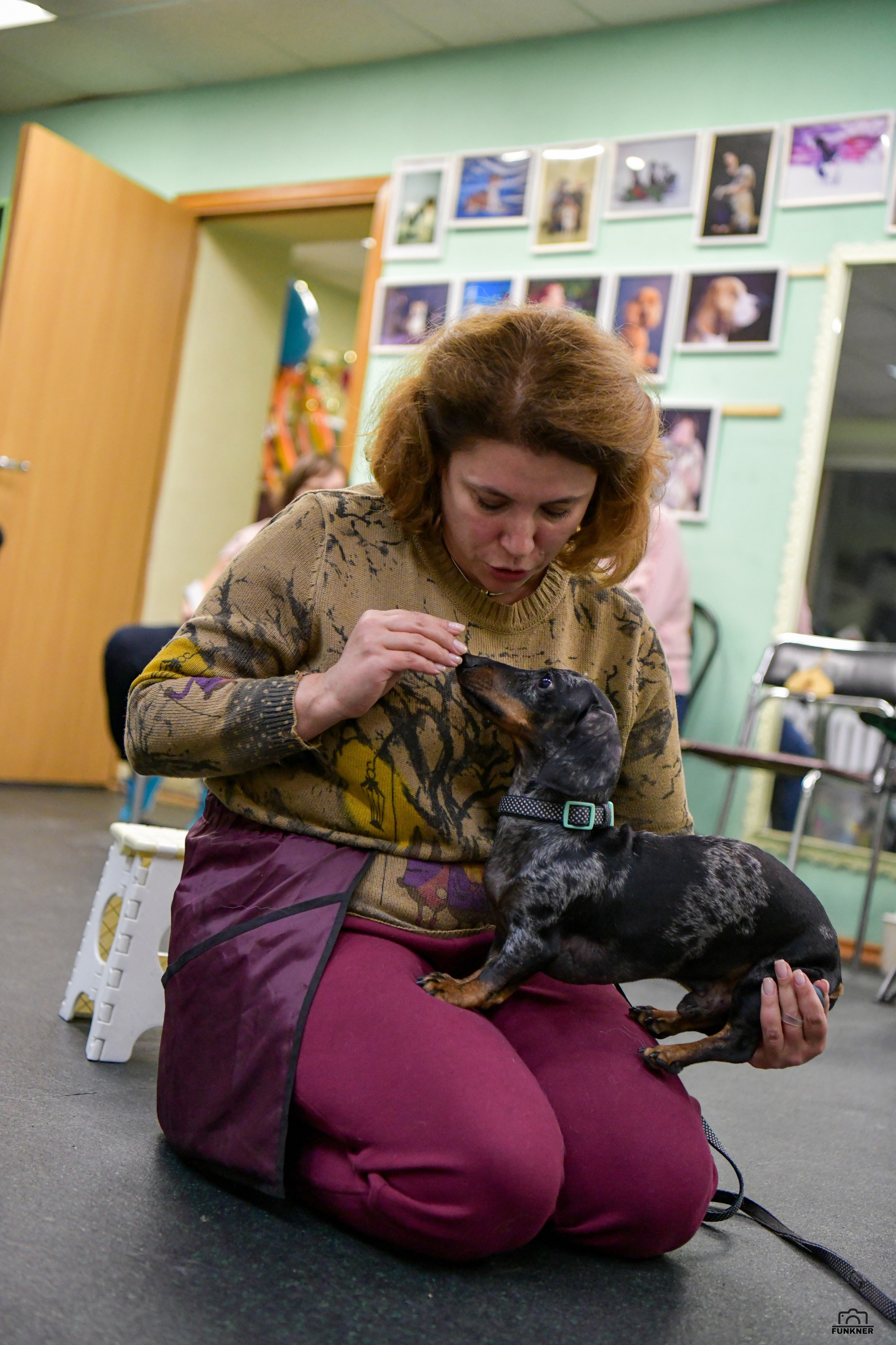 Кинологический клуб «Бодрый хвост». Свой взгляд через объектив