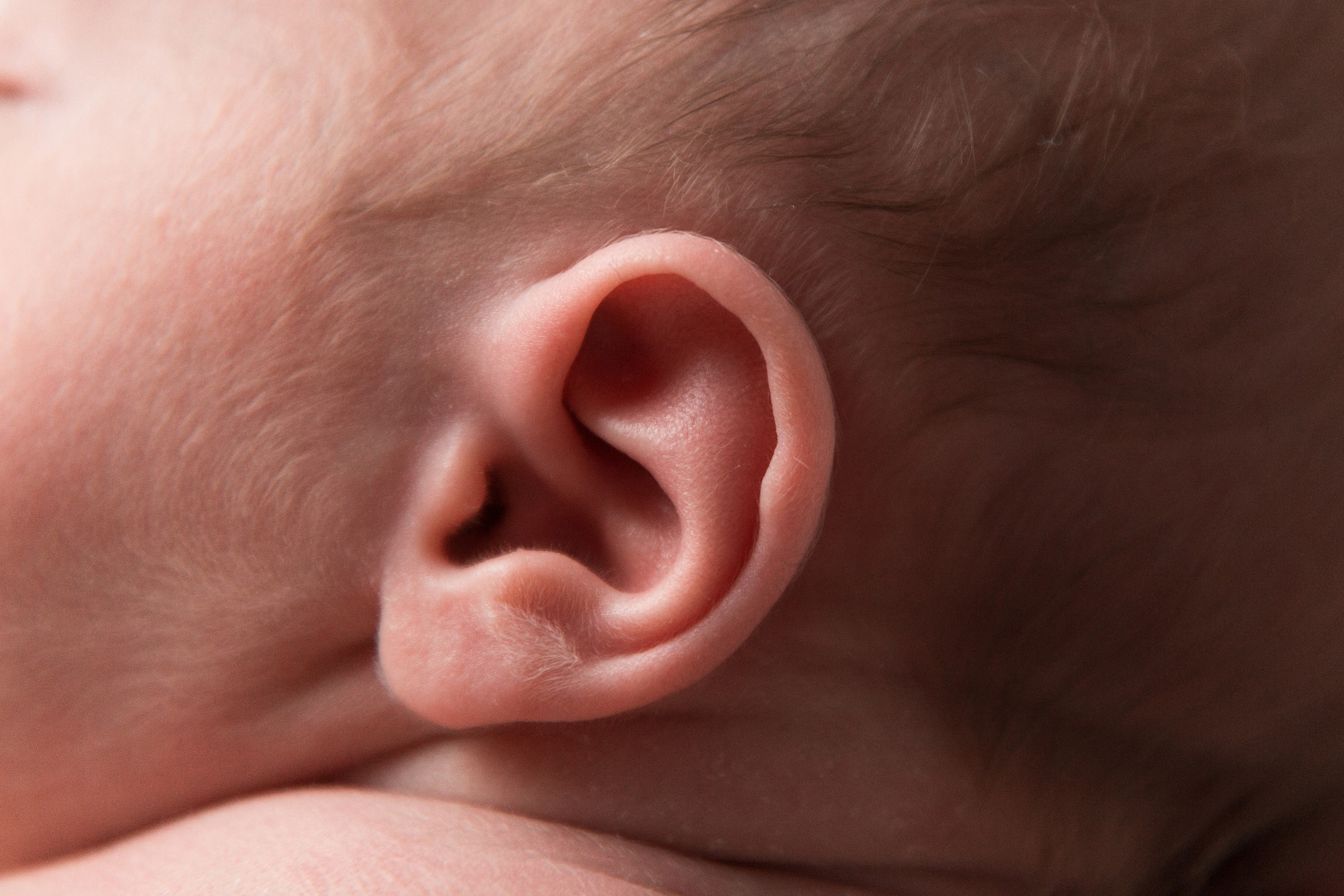 Портфолио Newborn. Семейный и детский фотограф в Перми Ксения Масленникова