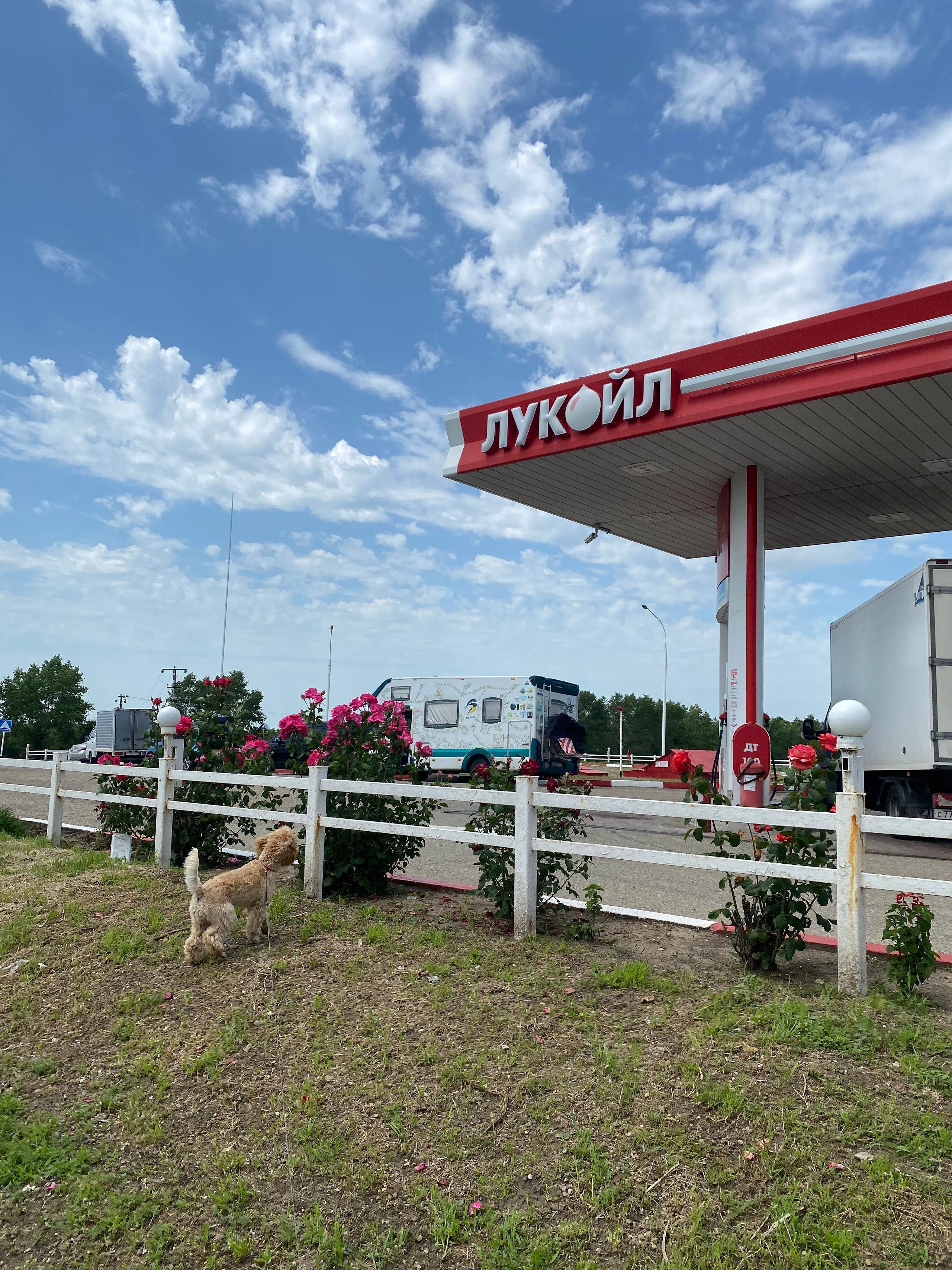 Пляжный поселок — 21. Своя Мастерская