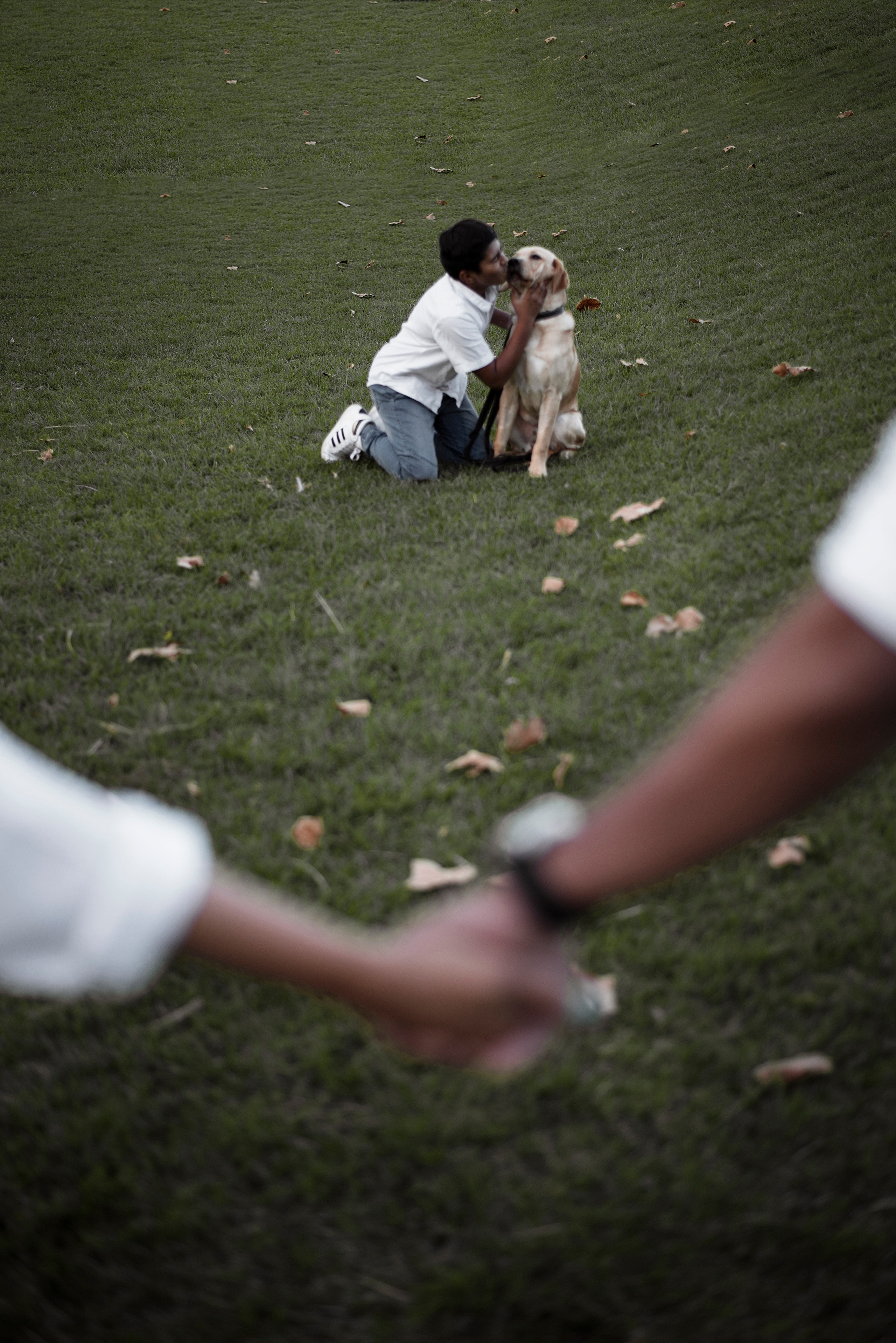 FAMILY PHOTO SHOOT. Wedding photographer Oklahoma US