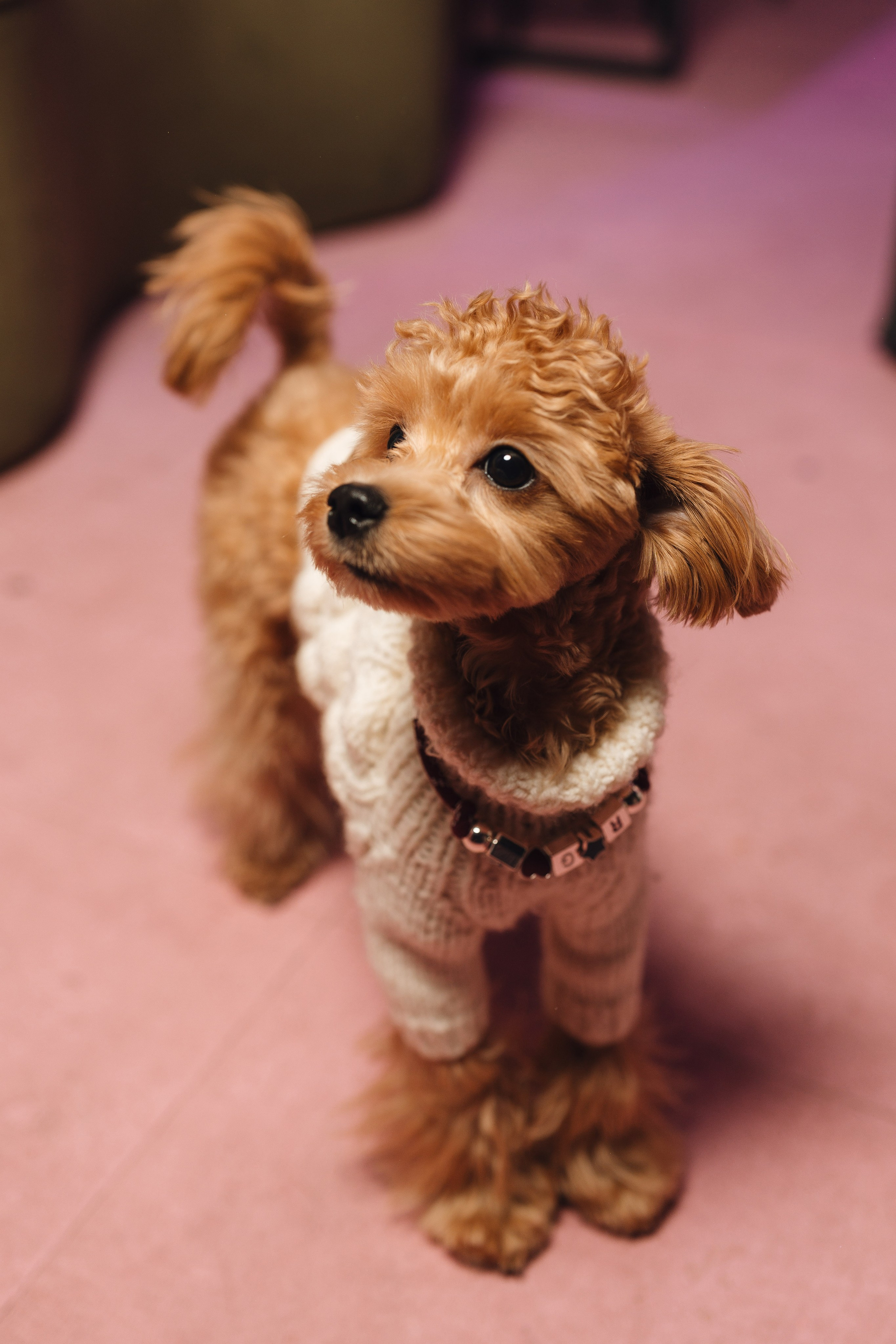 День Рождения Юли. Фотограф Москва Мария Бойцова