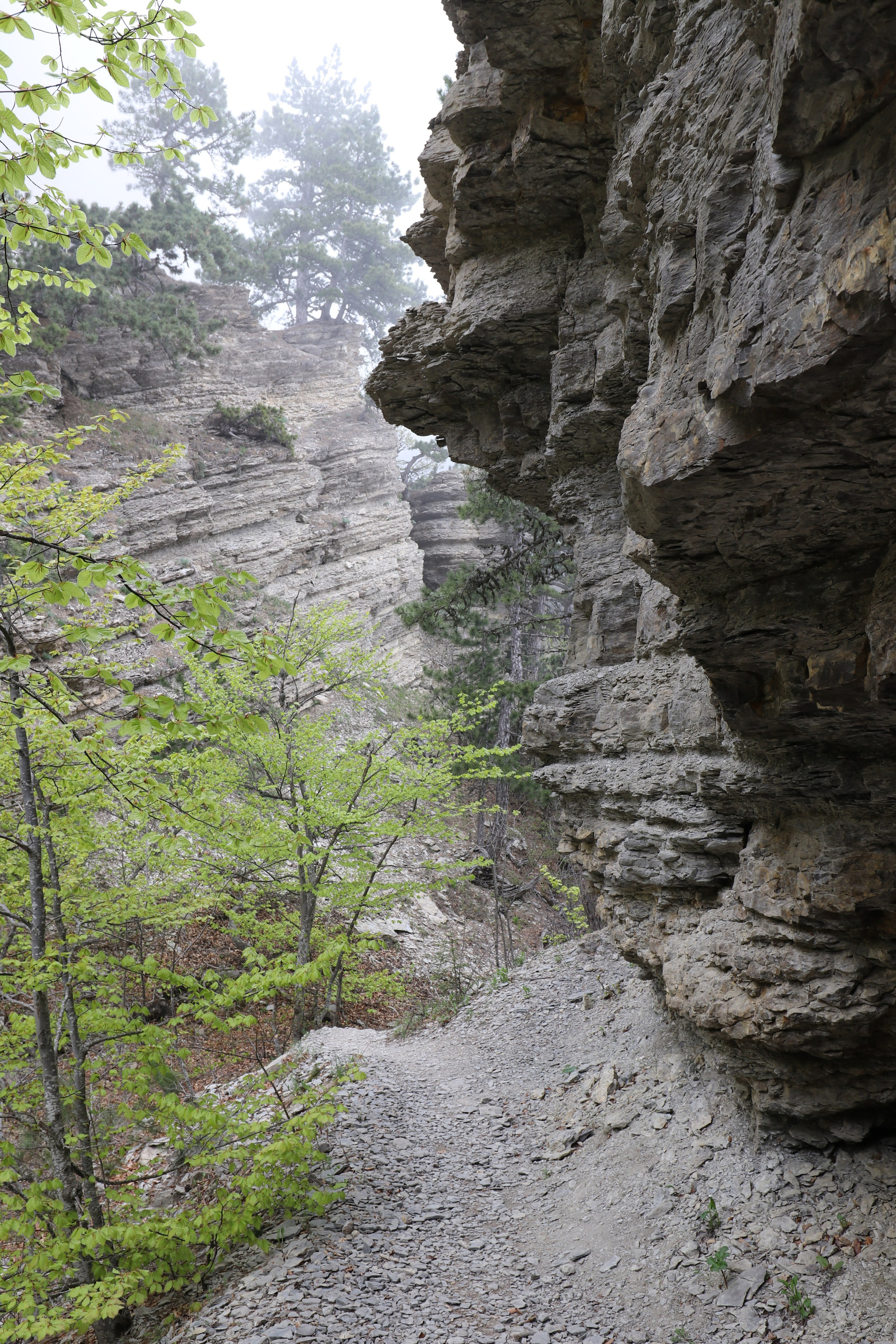 Крым. ЮБК (Бахчисарай, Демерджи, Судак). Первый скалолазный выезд. Май 2019. Путешественник-фотограф из Санкт-Петербурга Татьяна Свистулина