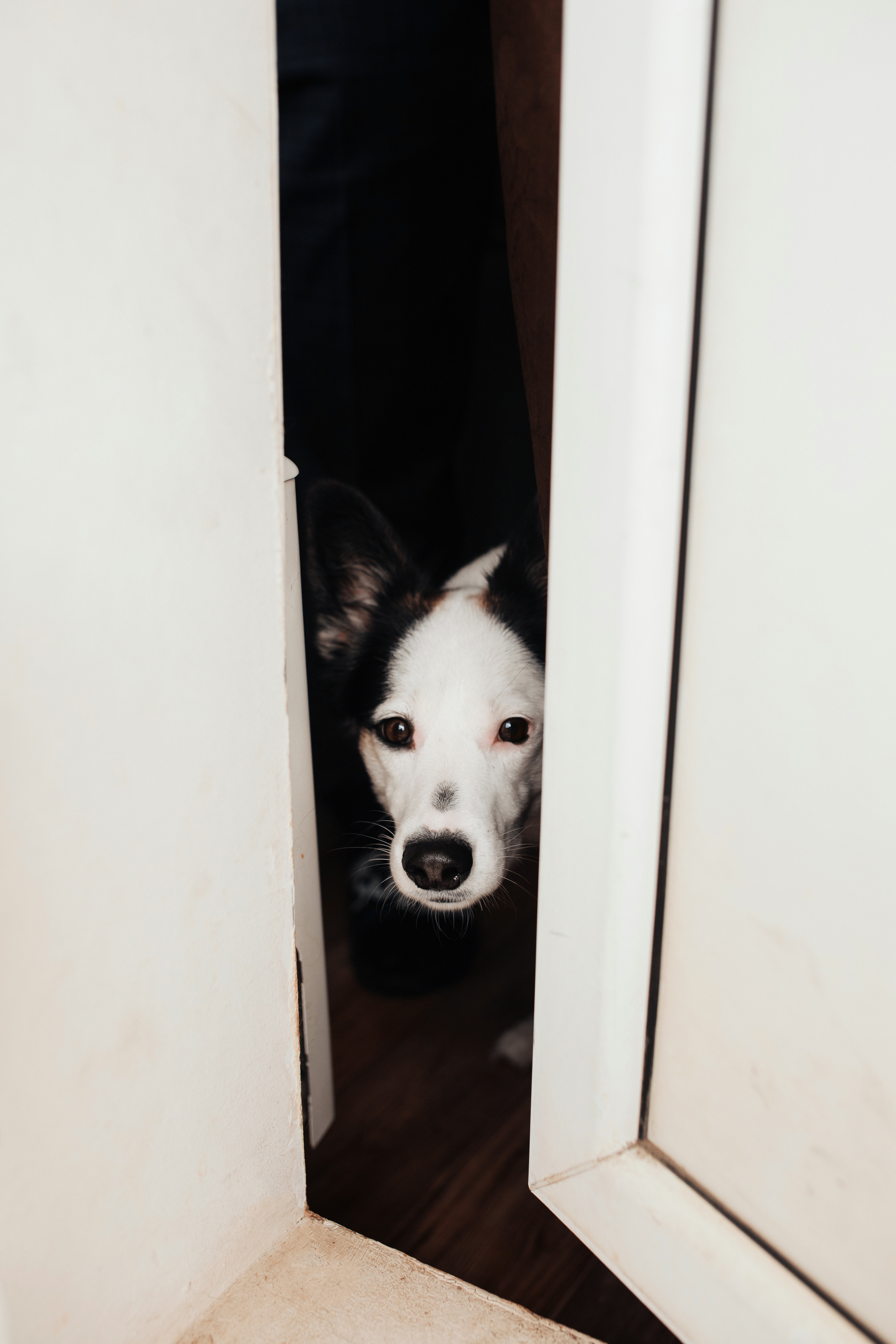 Timur and Catherine. Антонина Талах фотограф в Москве