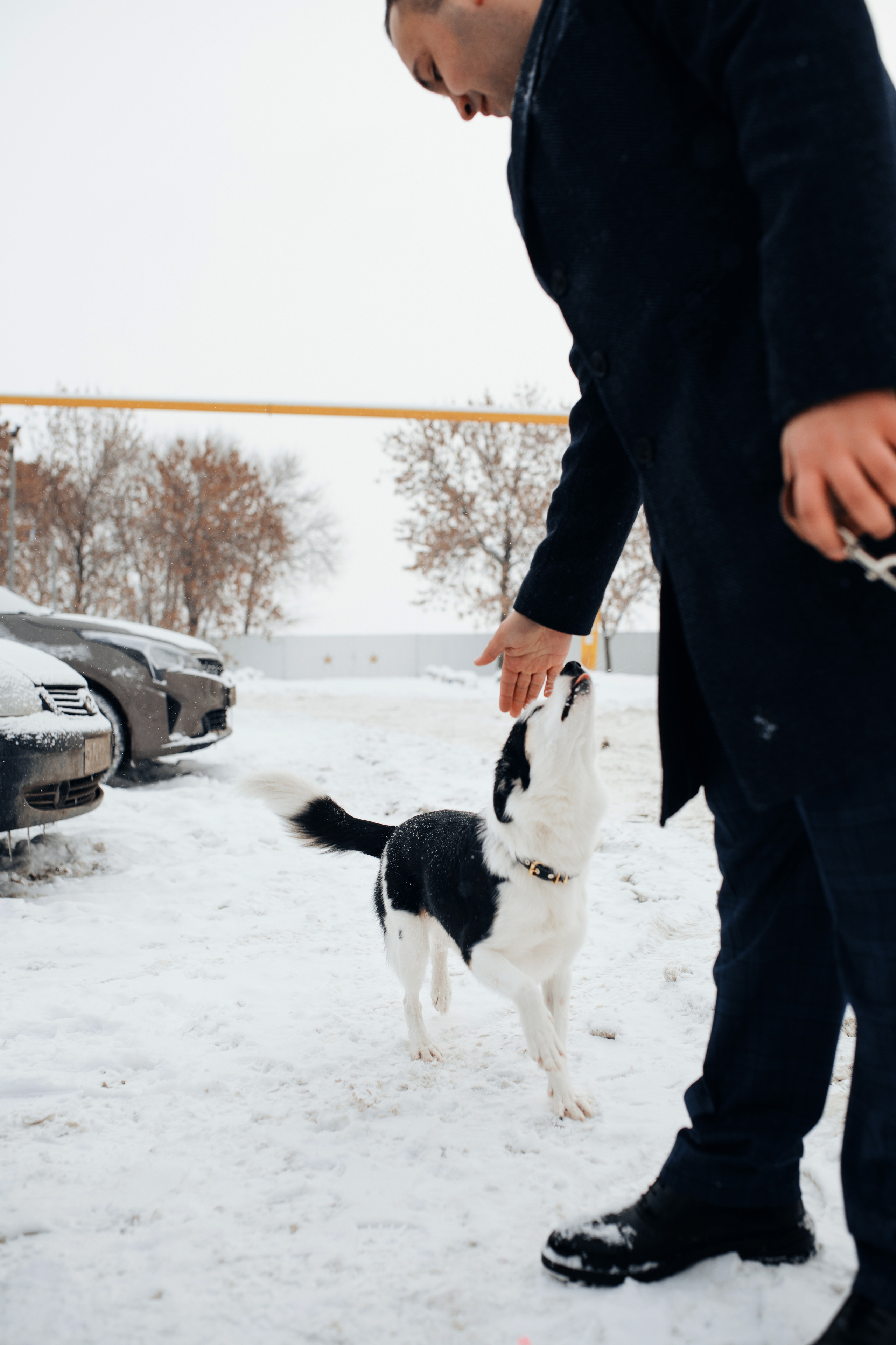 Timur and Catherine. Антонина Талах фотограф в Москве