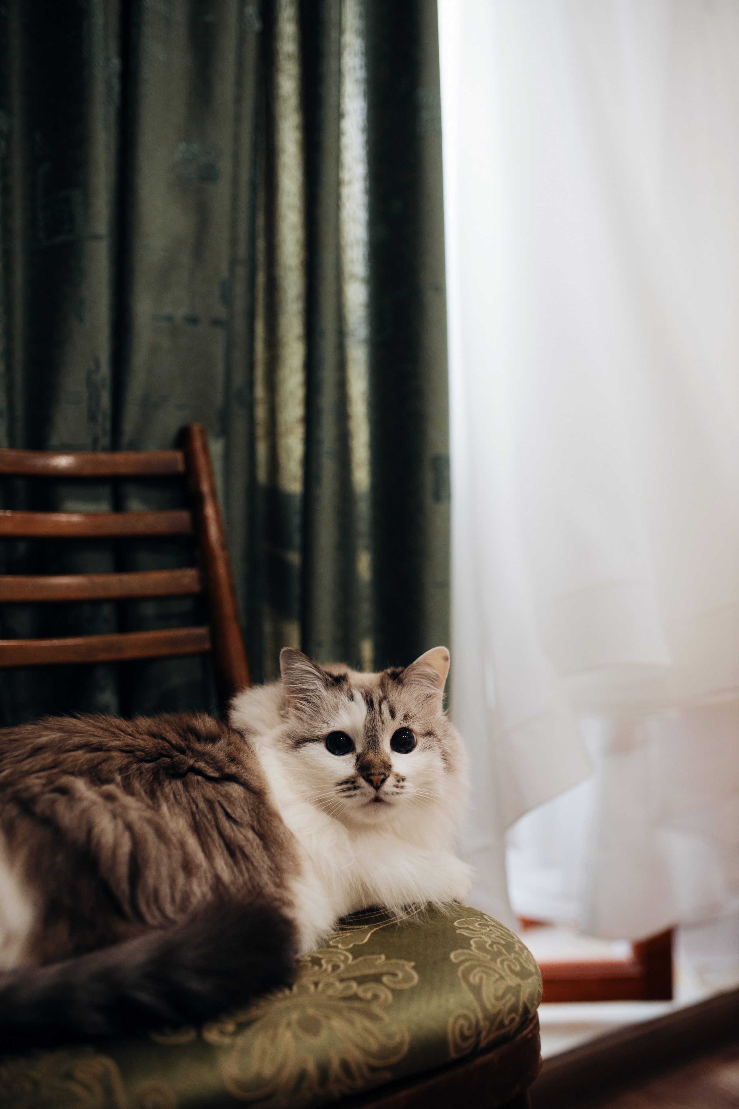 Timur and Catherine. Антонина Талах фотограф в Москве