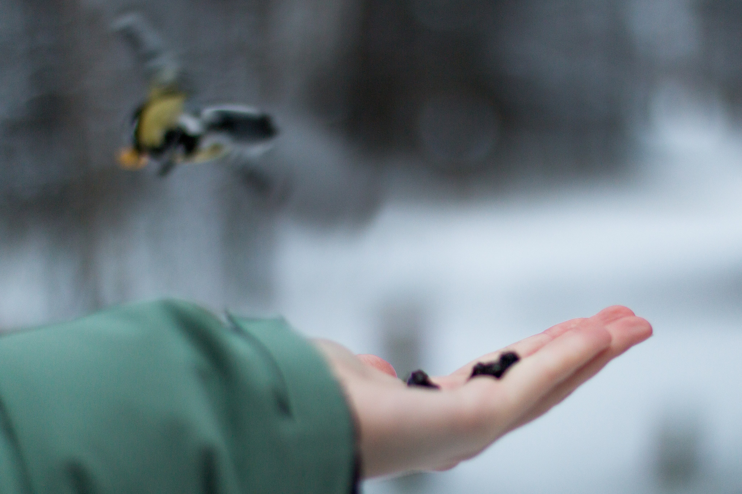 Лиза. Фотограф в Сочи