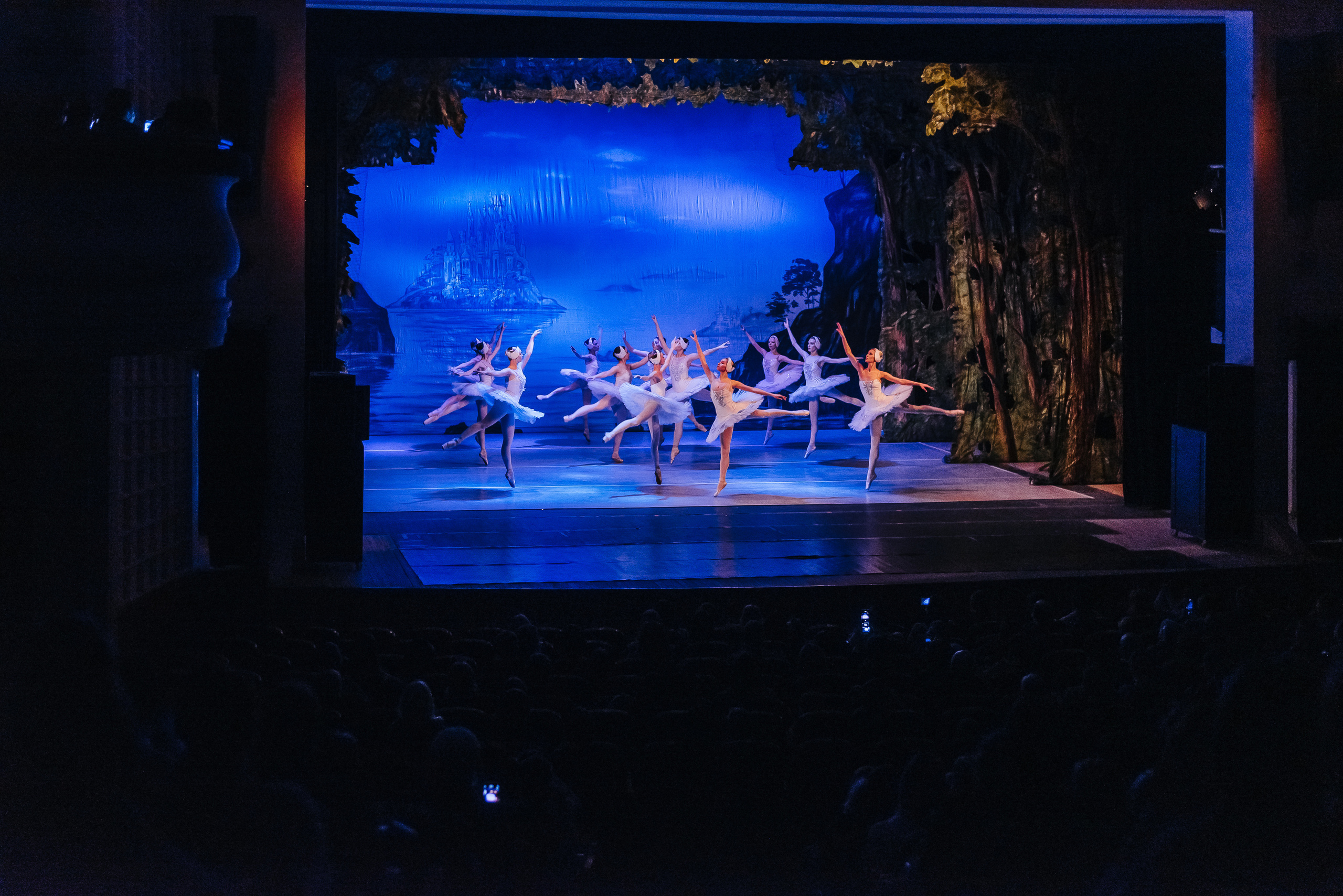 «Лебединое озеро». Фото и видео контент за одну съемку — Веретенников Егор