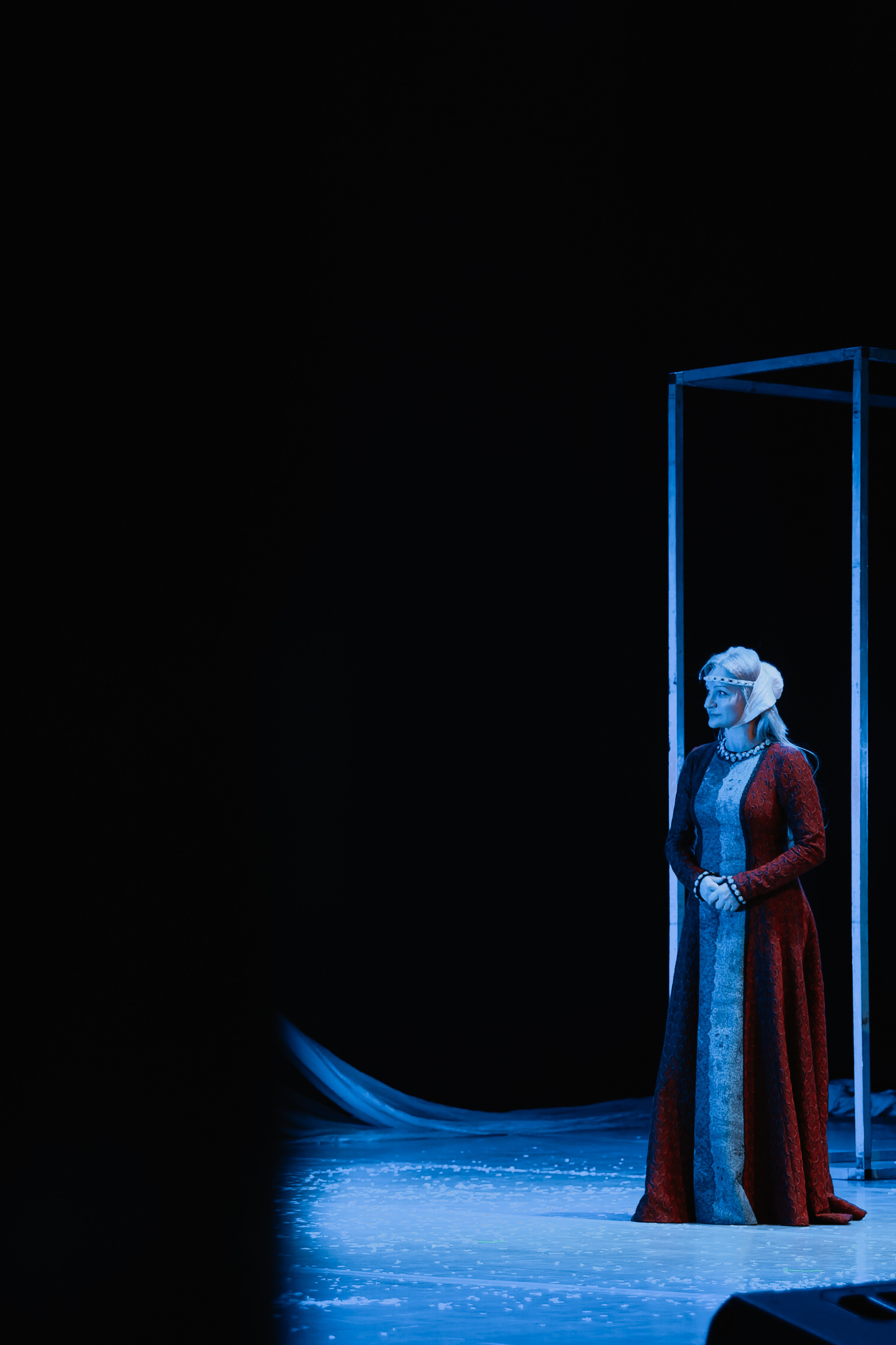 «Лев зимой». Фото и видео контент за одну съемку — Веретенников Егор