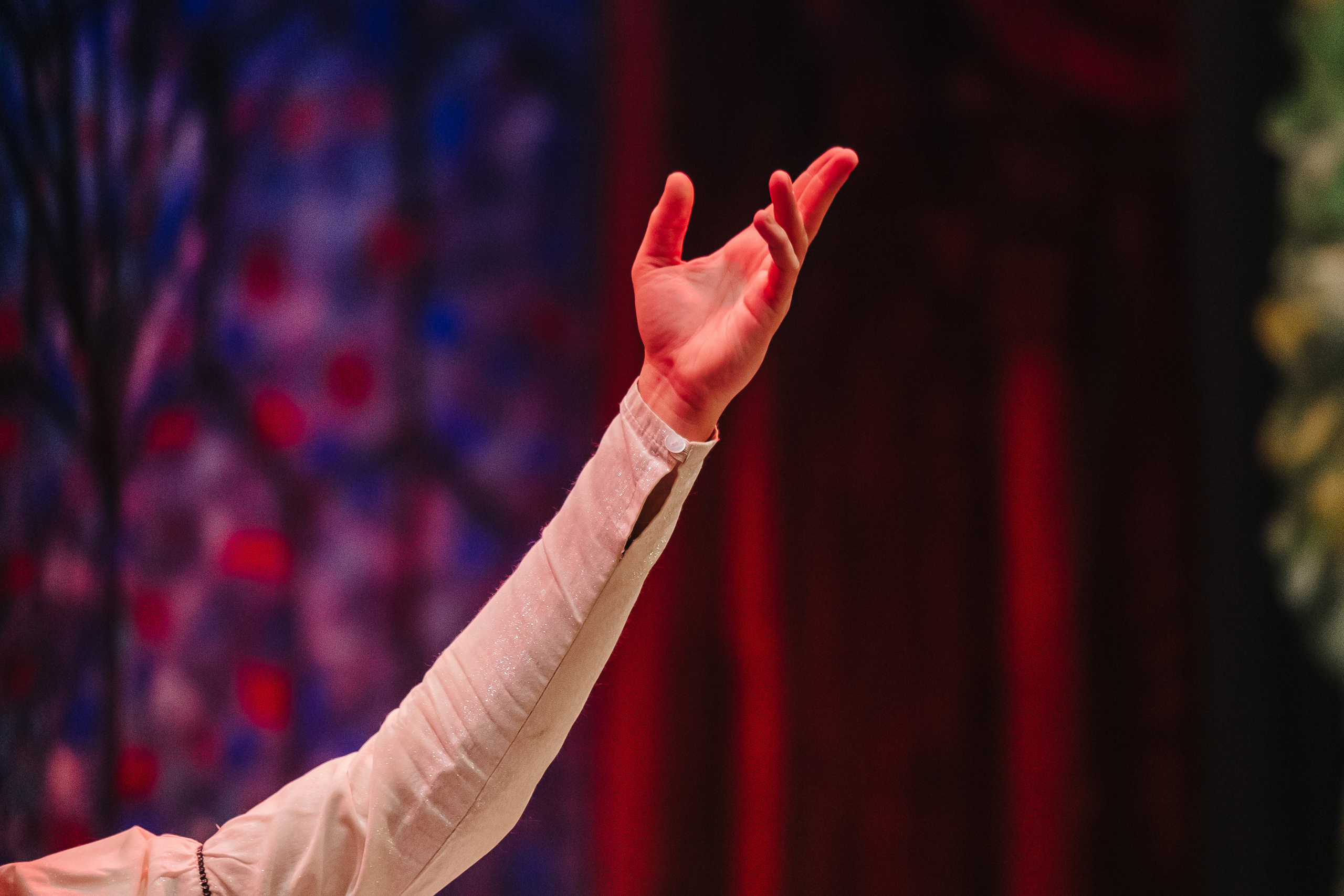 «Лебединое озеро». Фото и видео контент за одну съемку — Веретенников Егор