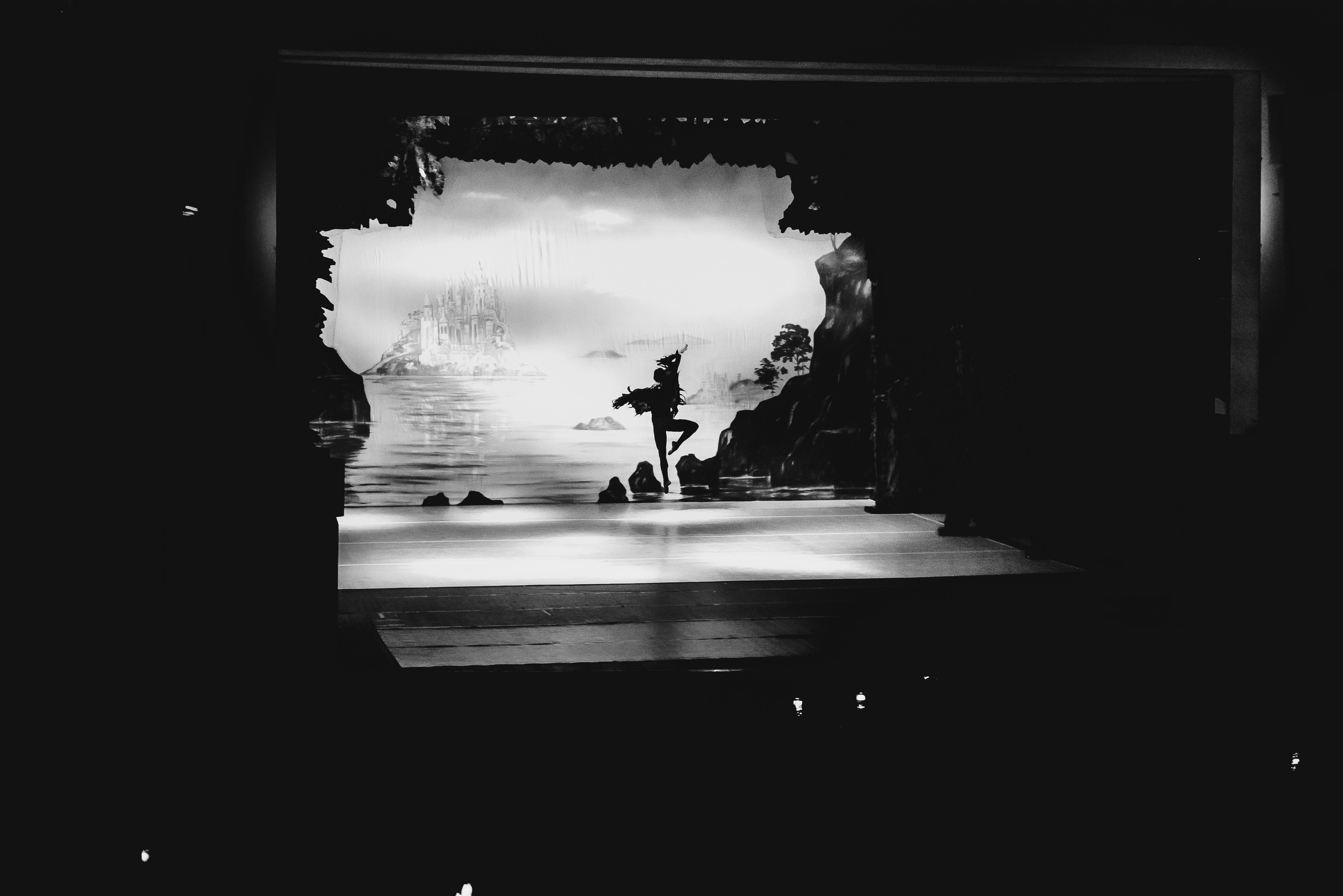 «Лебединое озеро». Фото и видео контент за одну съемку — Веретенников Егор