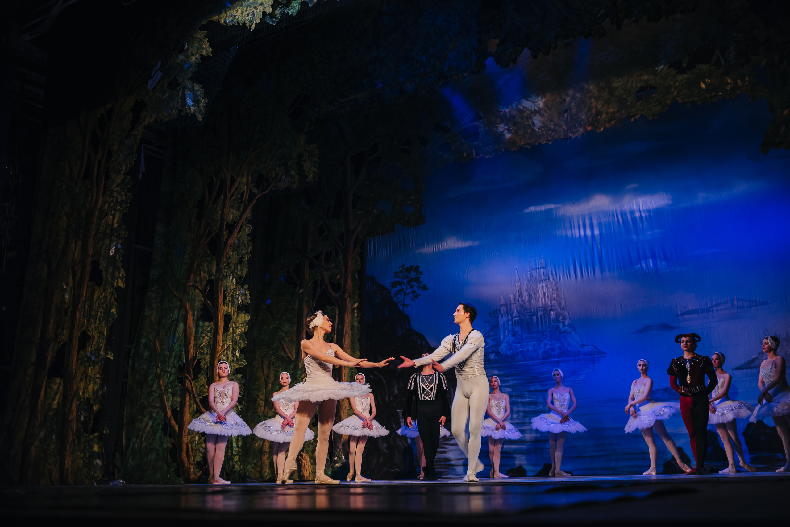 «Лебединое озеро». Фото и видео контент за одну съемку — Веретенников Егор