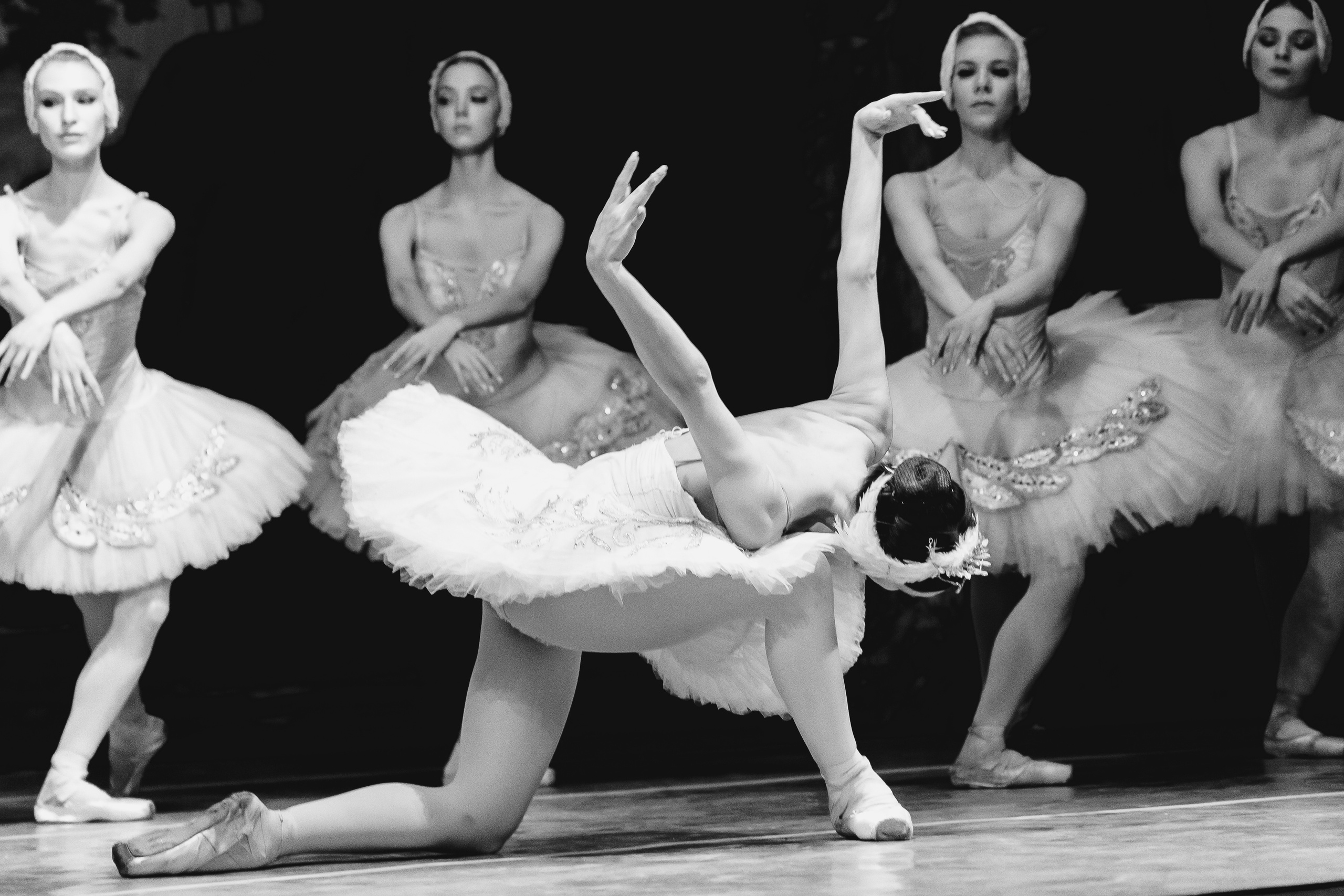 «Лебединое озеро». Фото и видео контент за одну съемку — Веретенников Егор