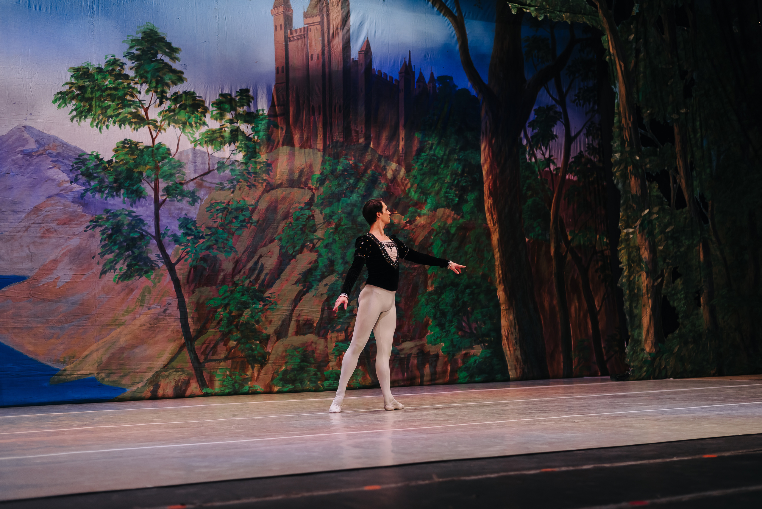 «Лебединое озеро». Фото и видео контент за одну съемку — Веретенников Егор