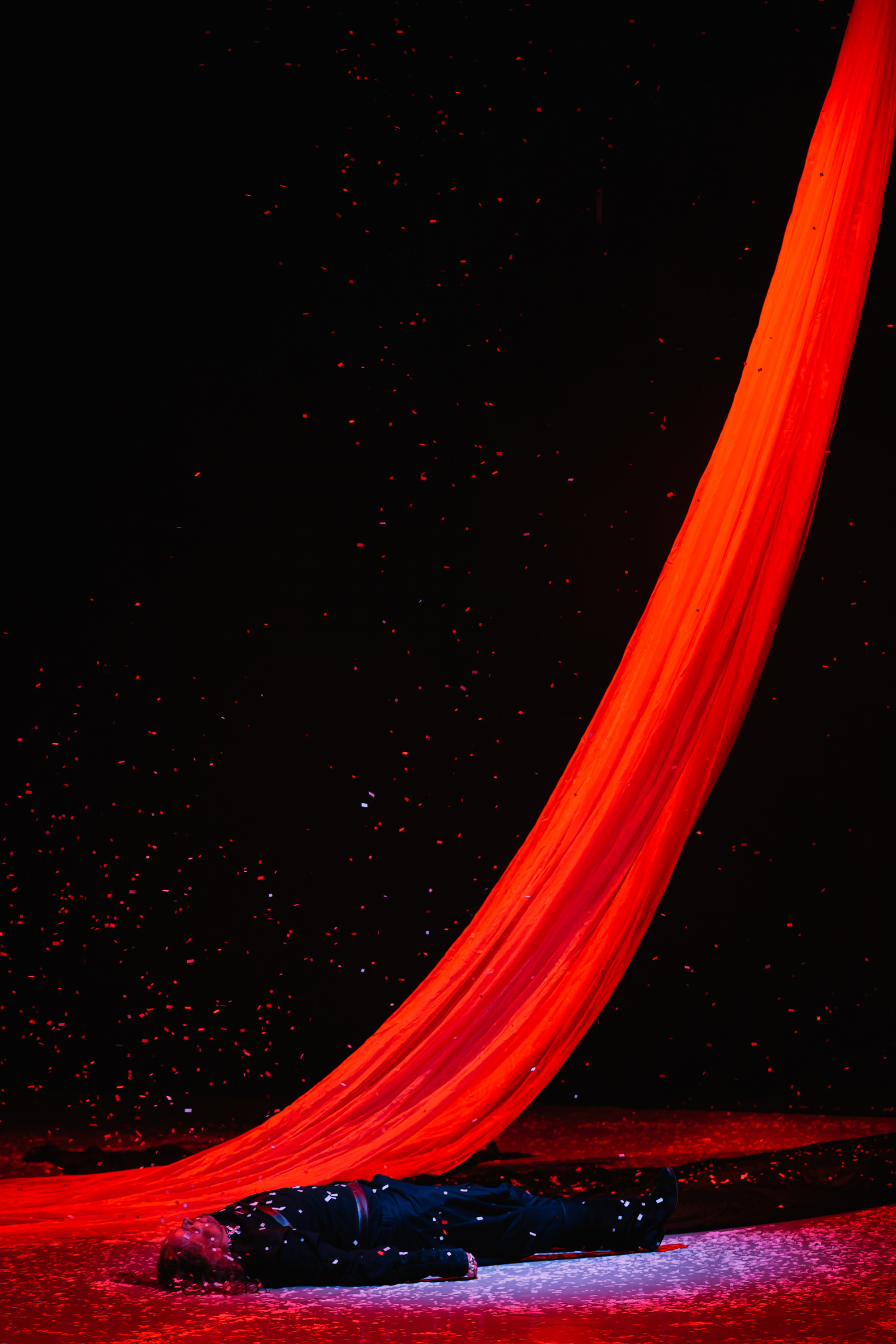 «Лев зимой». Фото и видео контент за одну съемку — Веретенников Егор