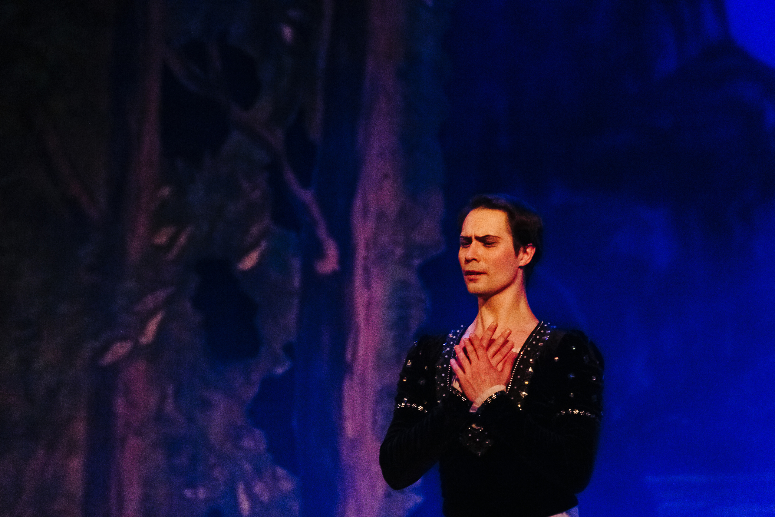 «Лебединое озеро». Фото и видео контент за одну съемку — Веретенников Егор