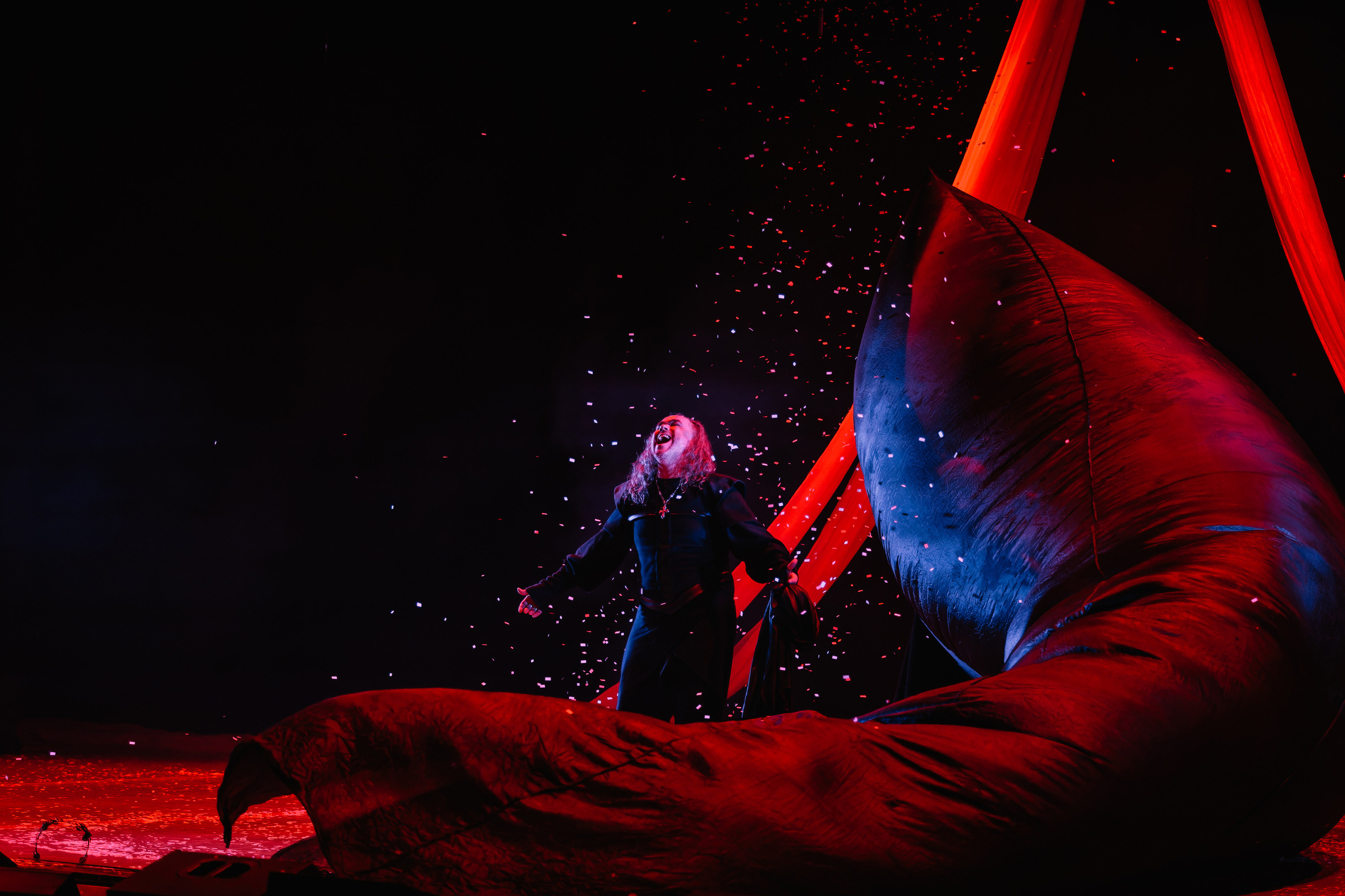 «Лев зимой». Фото и видео контент за одну съемку — Веретенников Егор